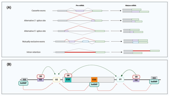 Cancers 17 01381 g004