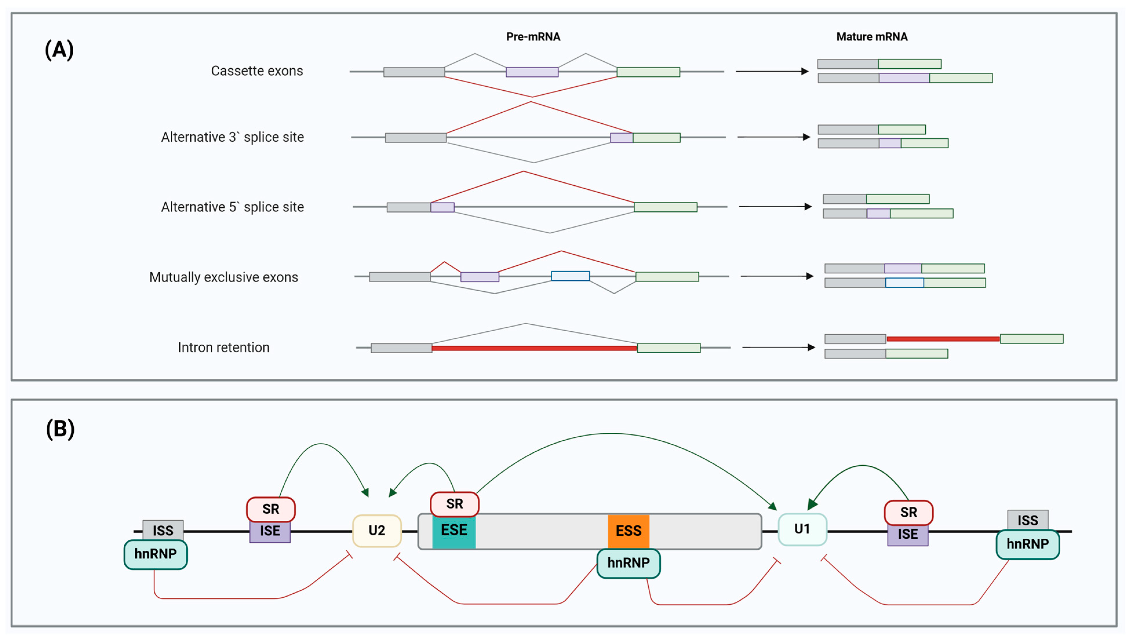 Cancers 17 01381 g004
