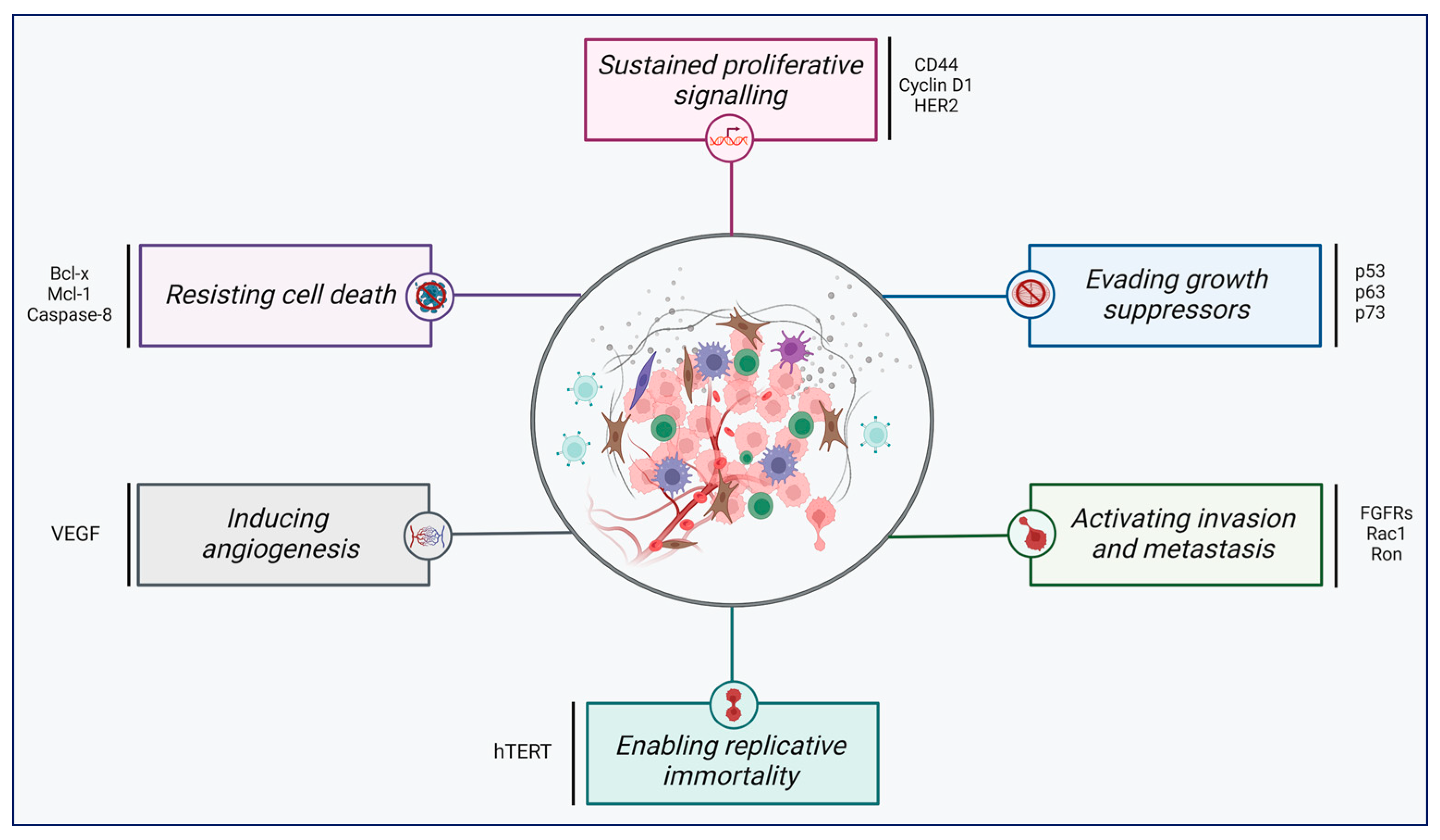 Cancers 17 01381 g005