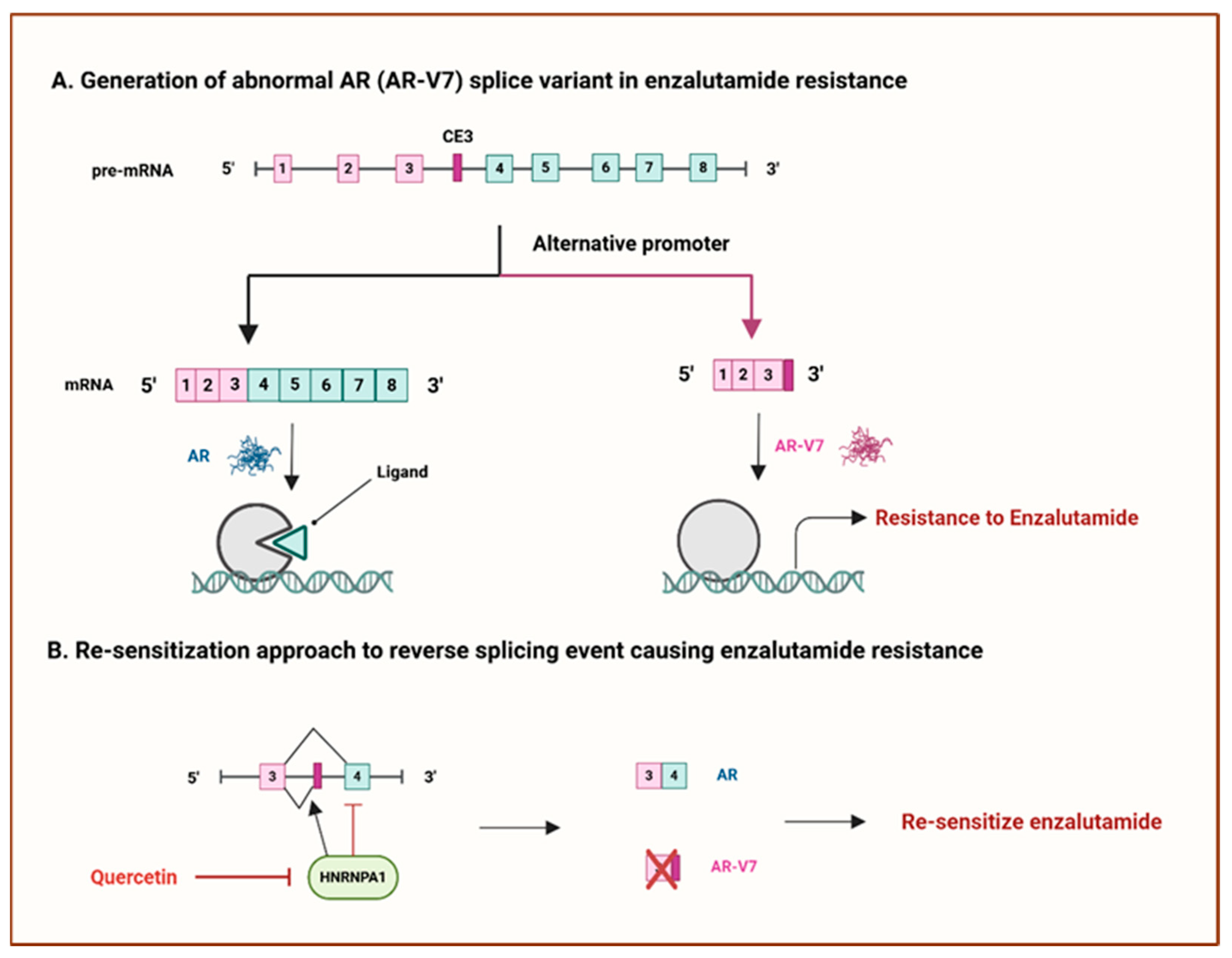 Cancers 17 01381 g008