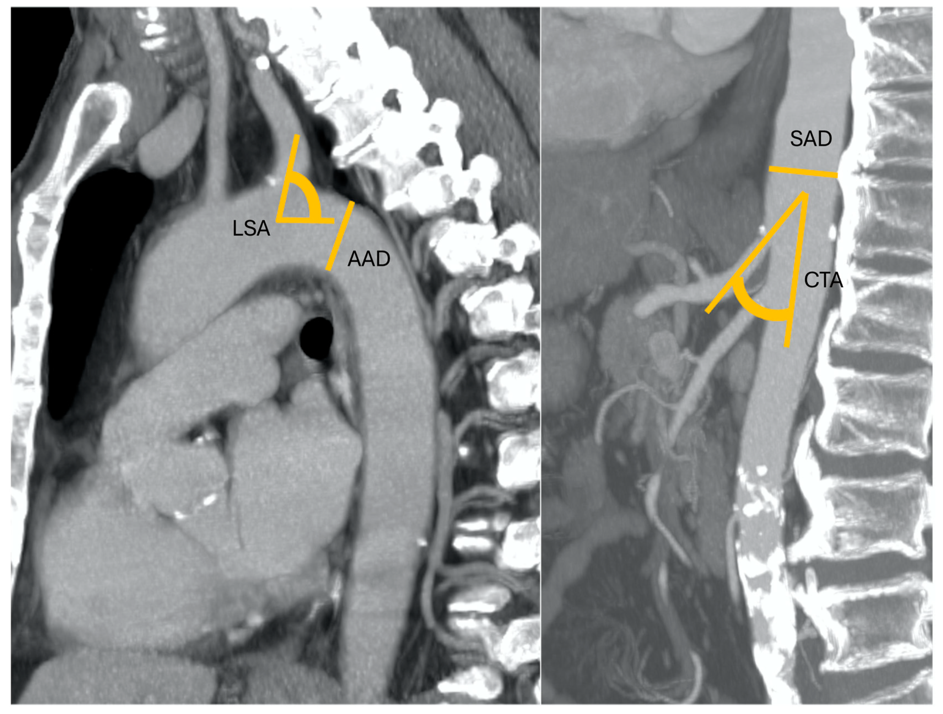 Cancers 17 01385 g001