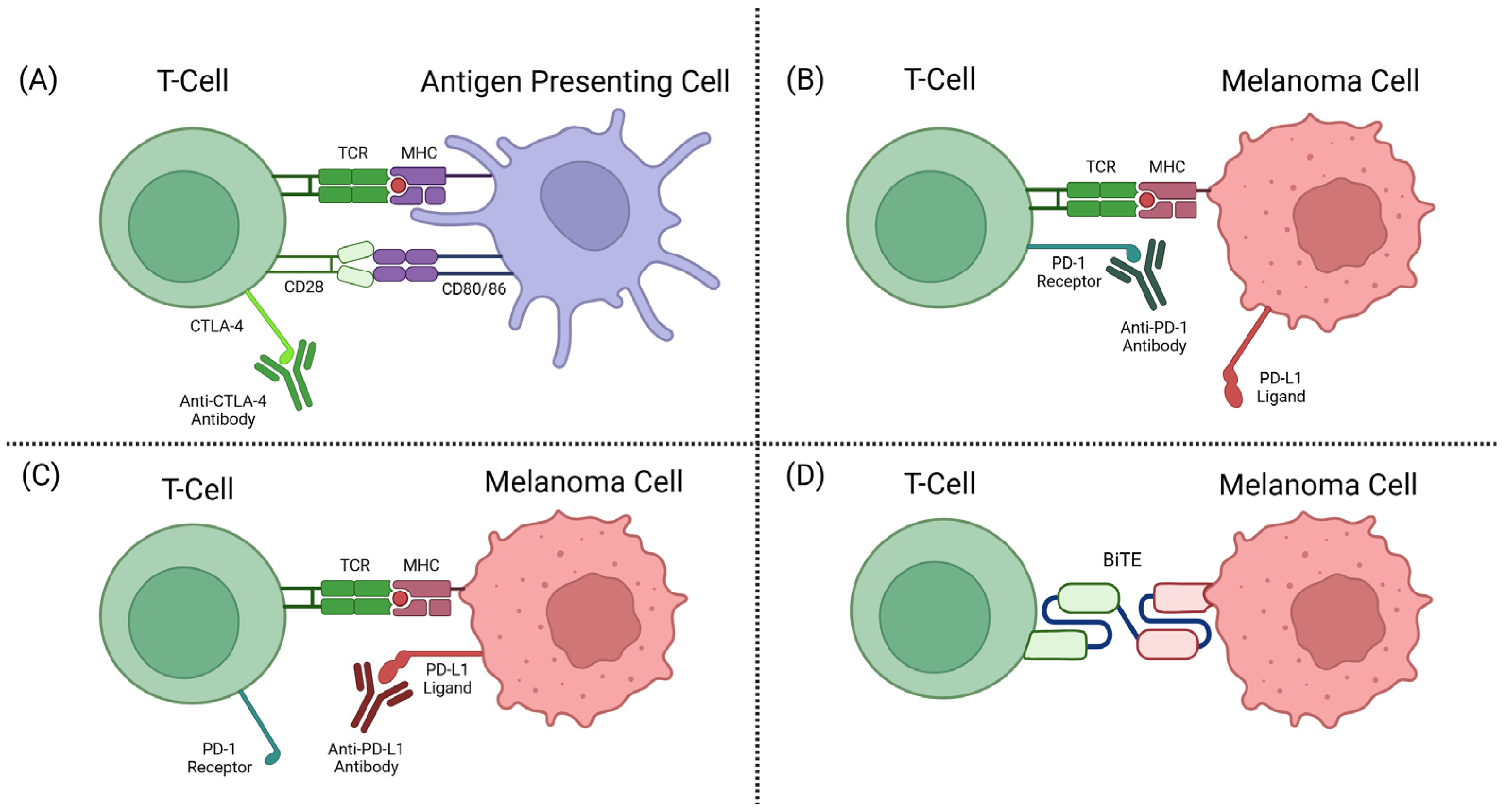 Cancers 17 01403 g002