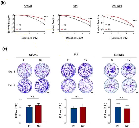 Cancers 17 01430 g001b