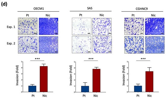 Cancers 17 01430 g001c