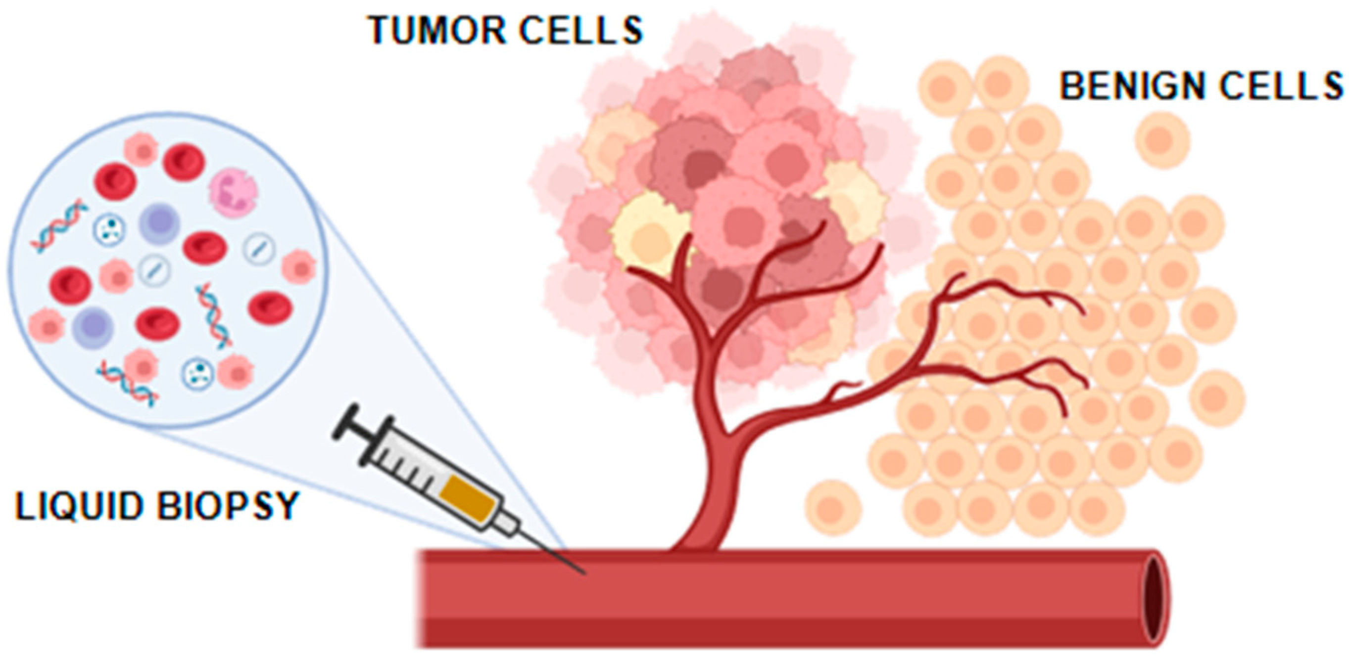 Cancers 17 01442 g002