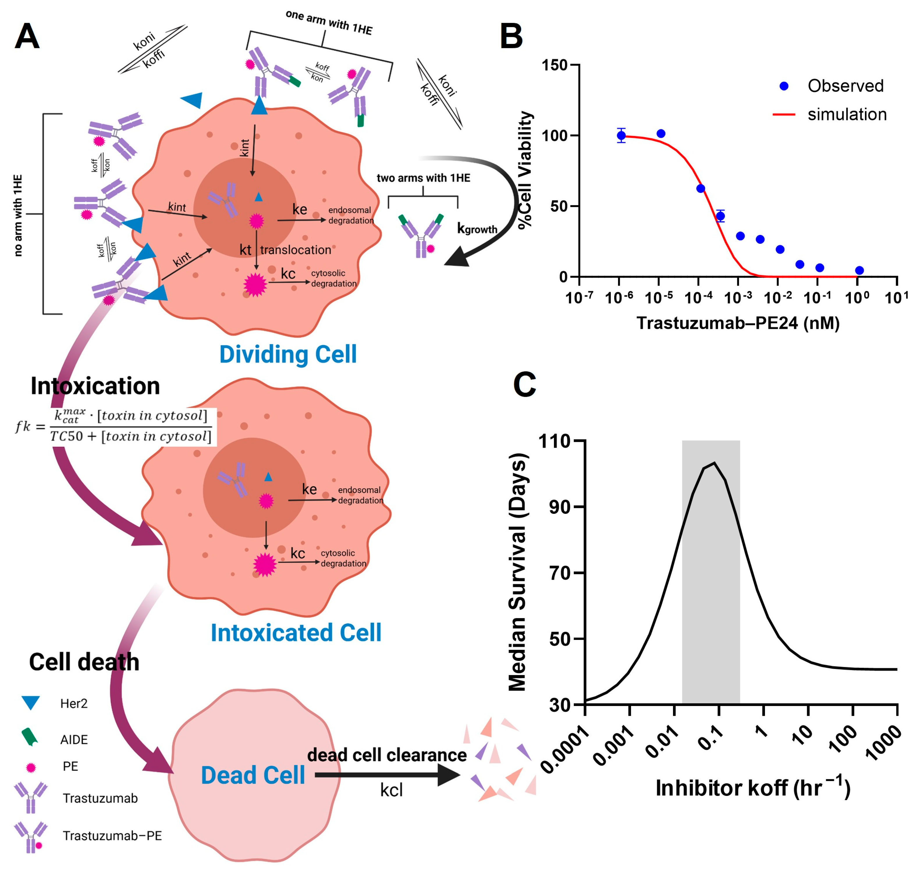 Cancers 17 01468 g006