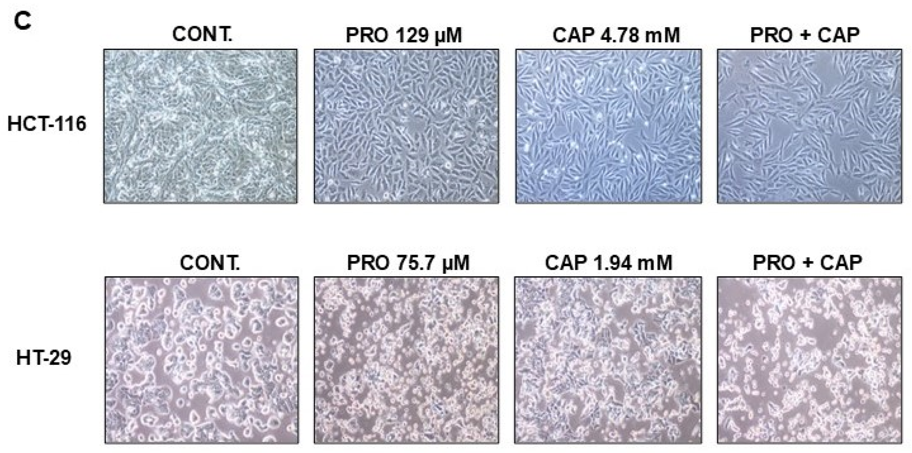 Cancers 17 01470 g001b