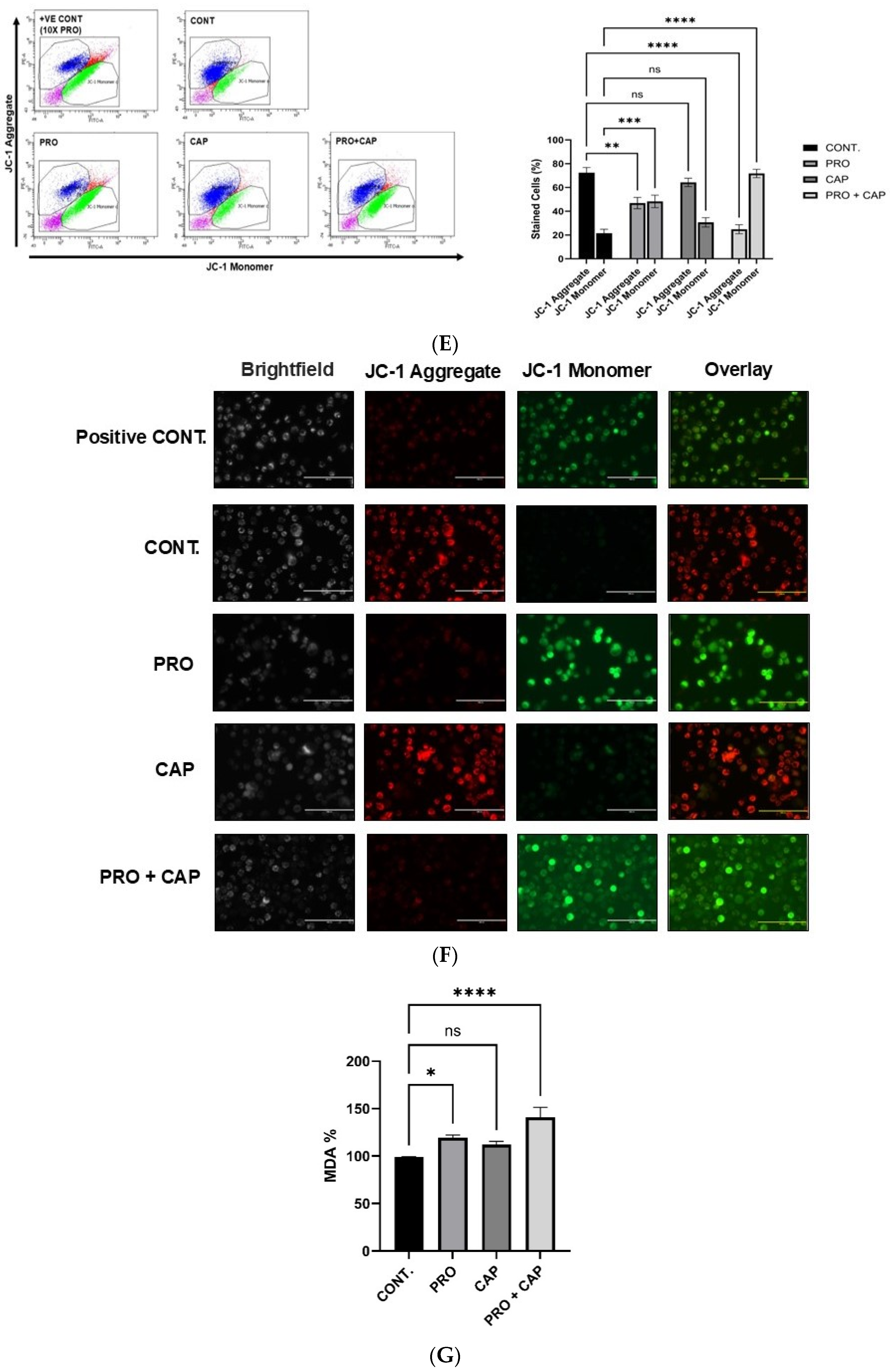 Cancers 17 01470 g004c