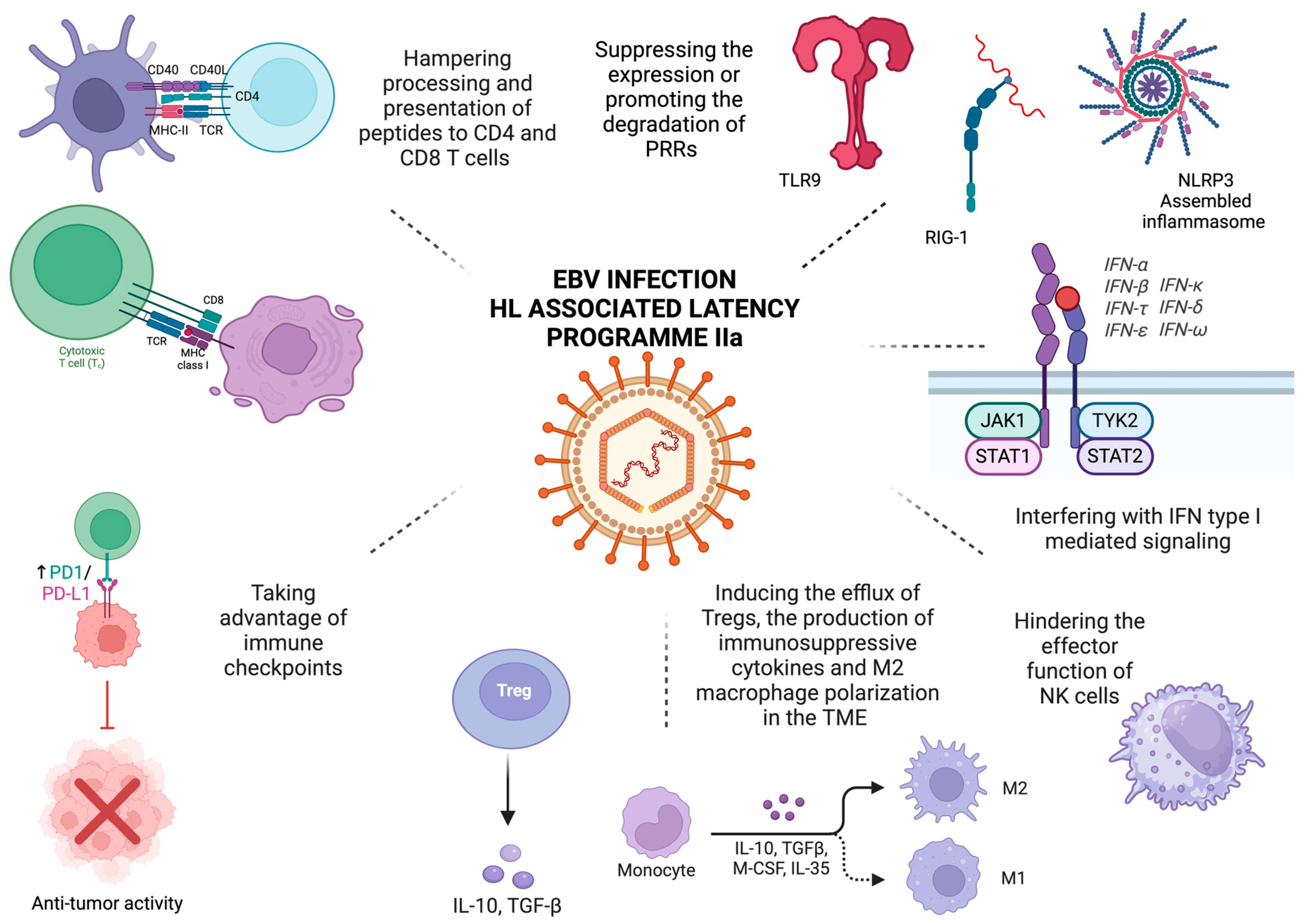 Cancers 17 01481 g001
