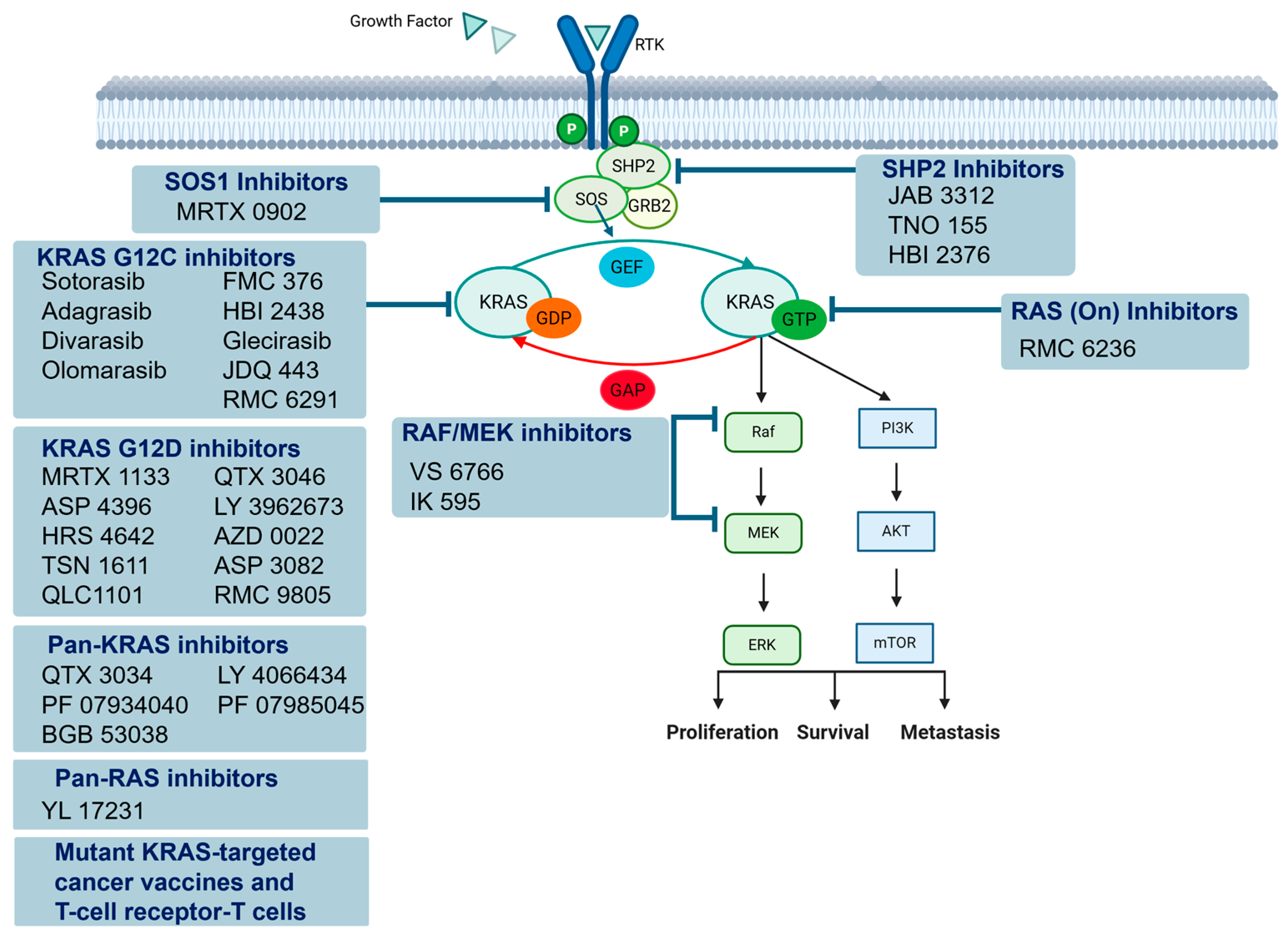 Cancers 17 01512 g001