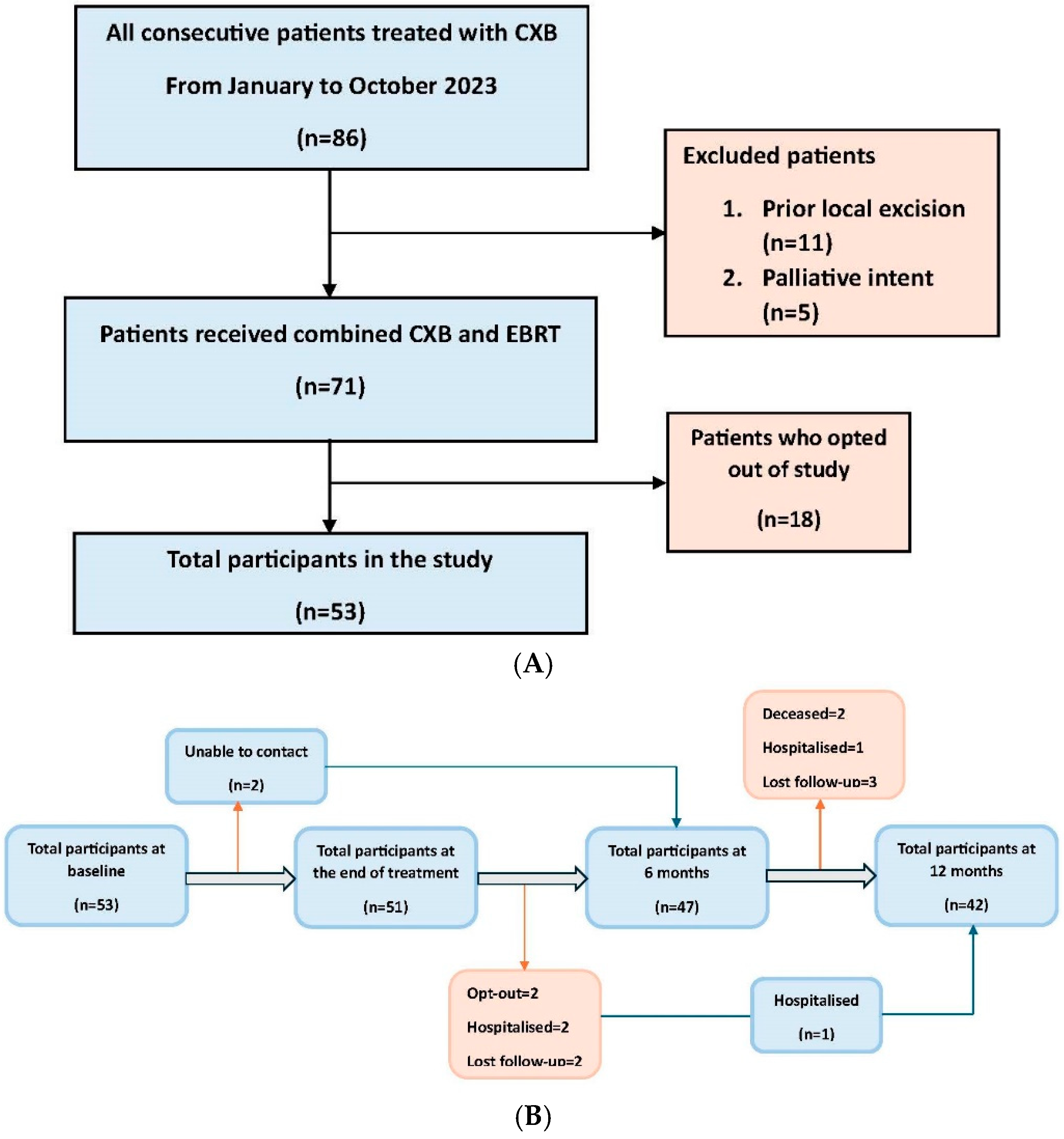 Cancers 17 01560 g001