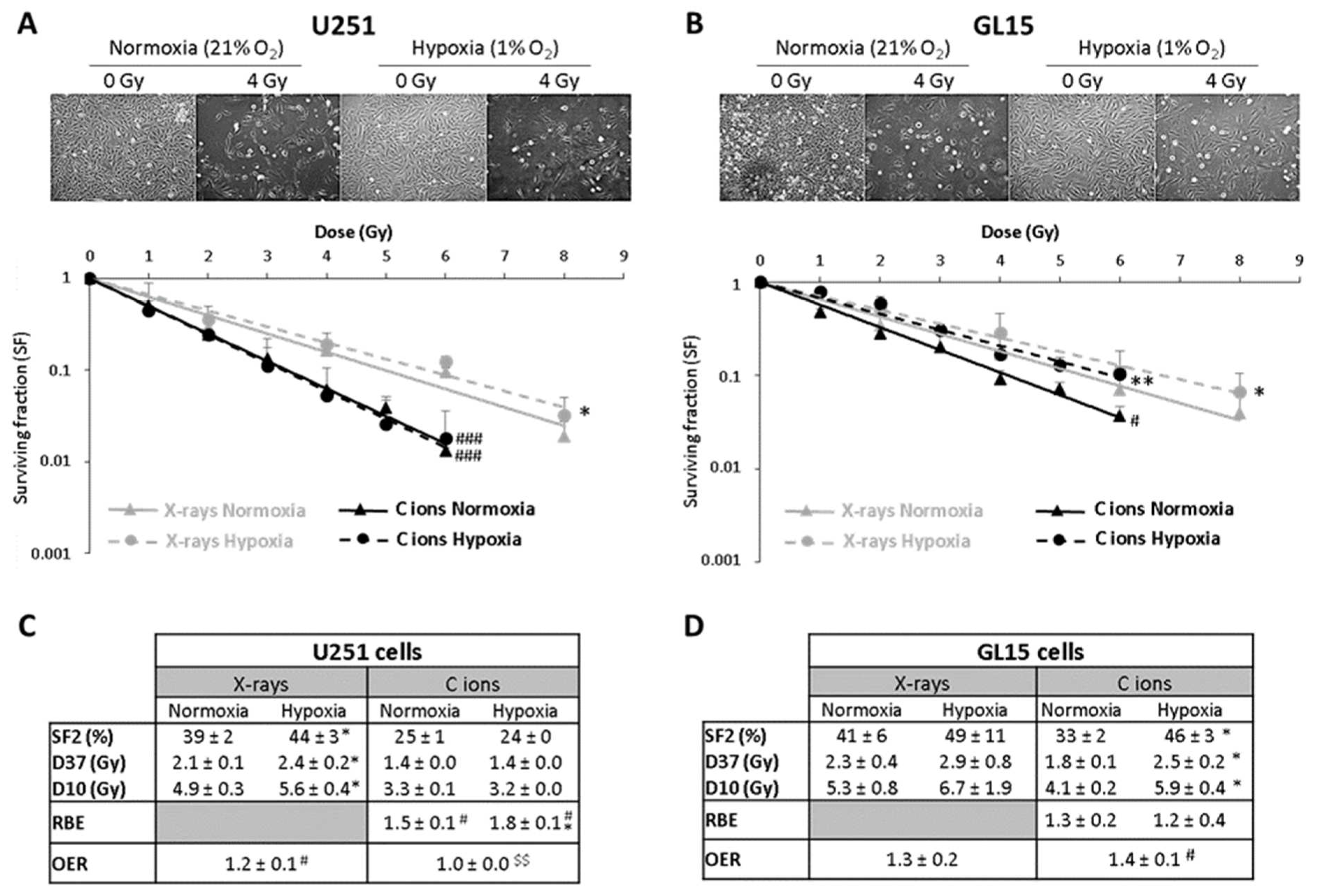 Cancers 17 01580 g001