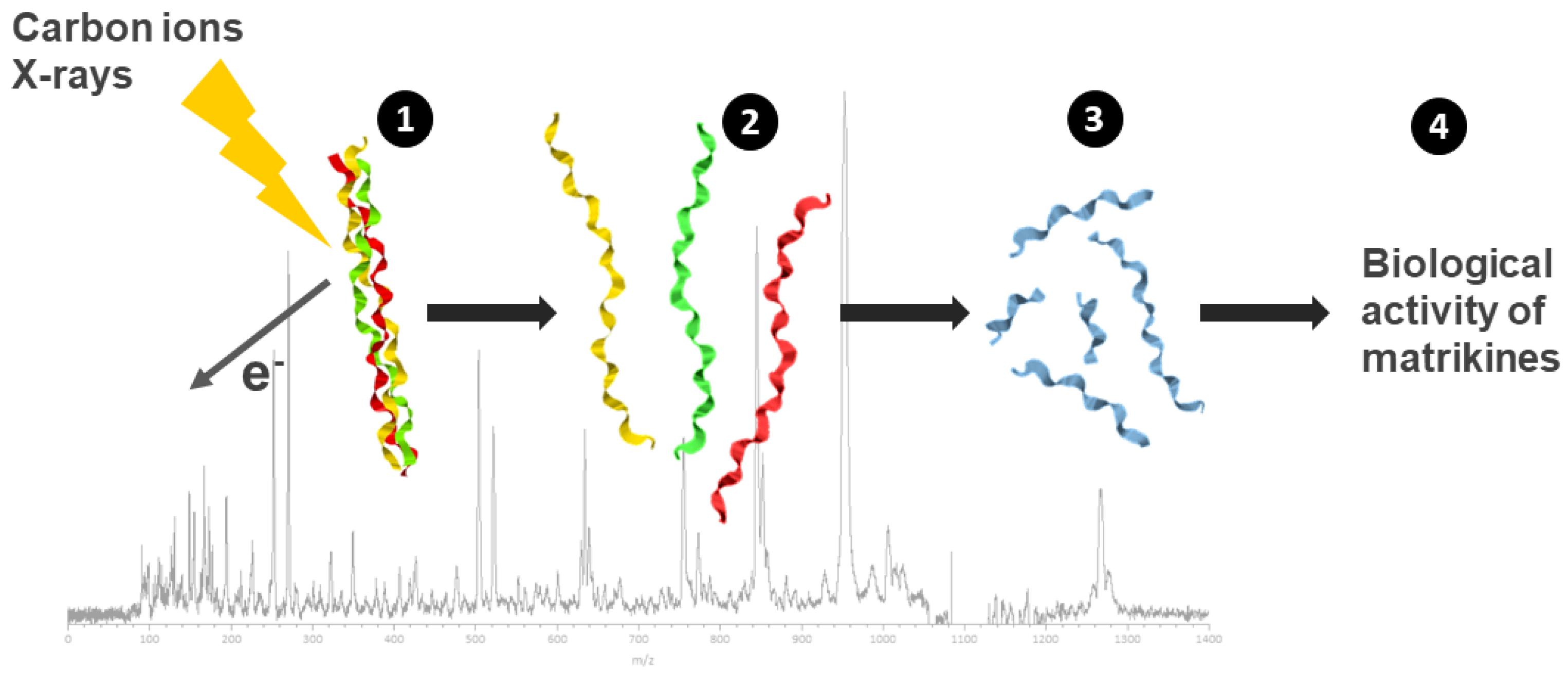 Cancers 17 01580 g003