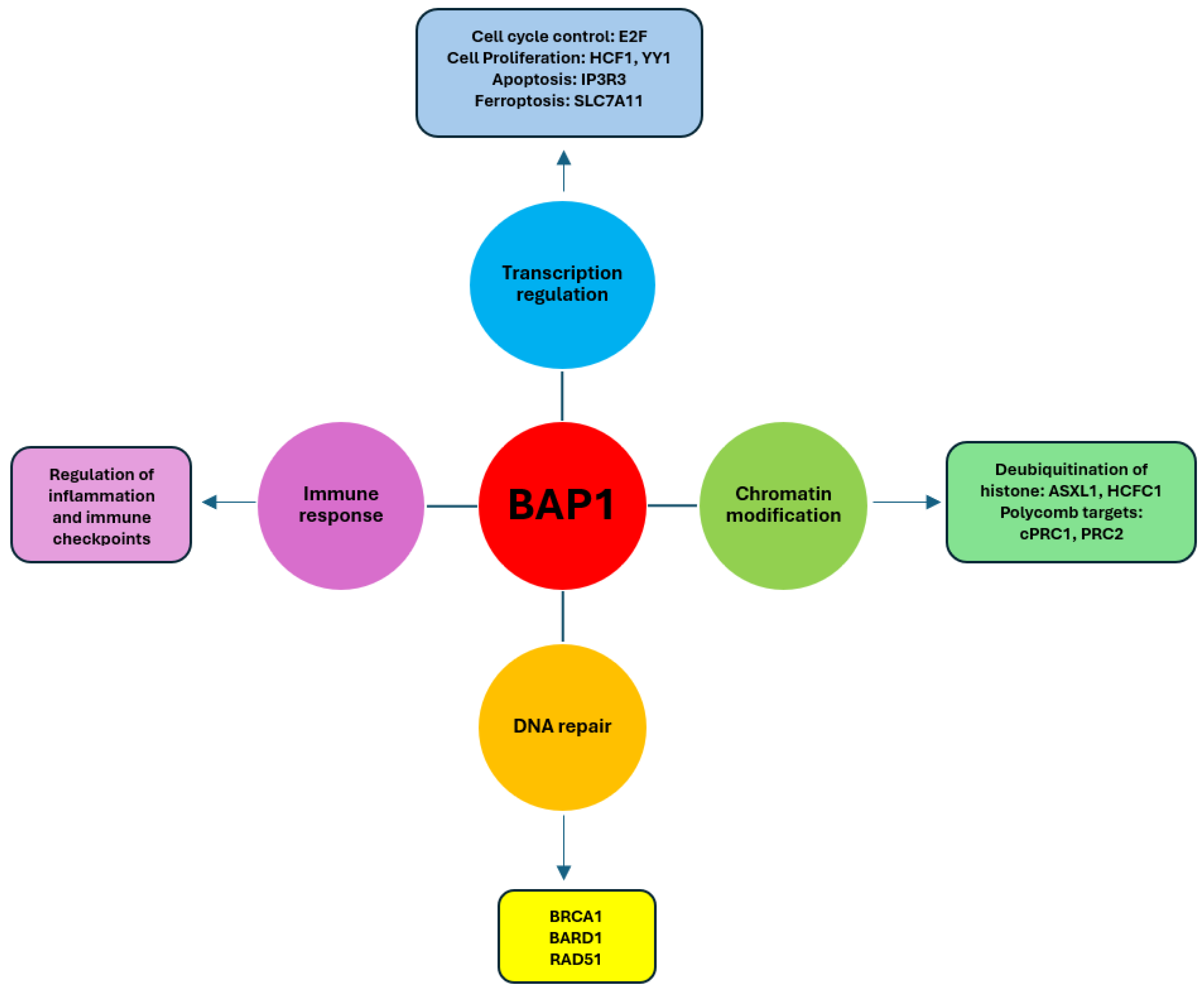 Cancers 17 01581 g001