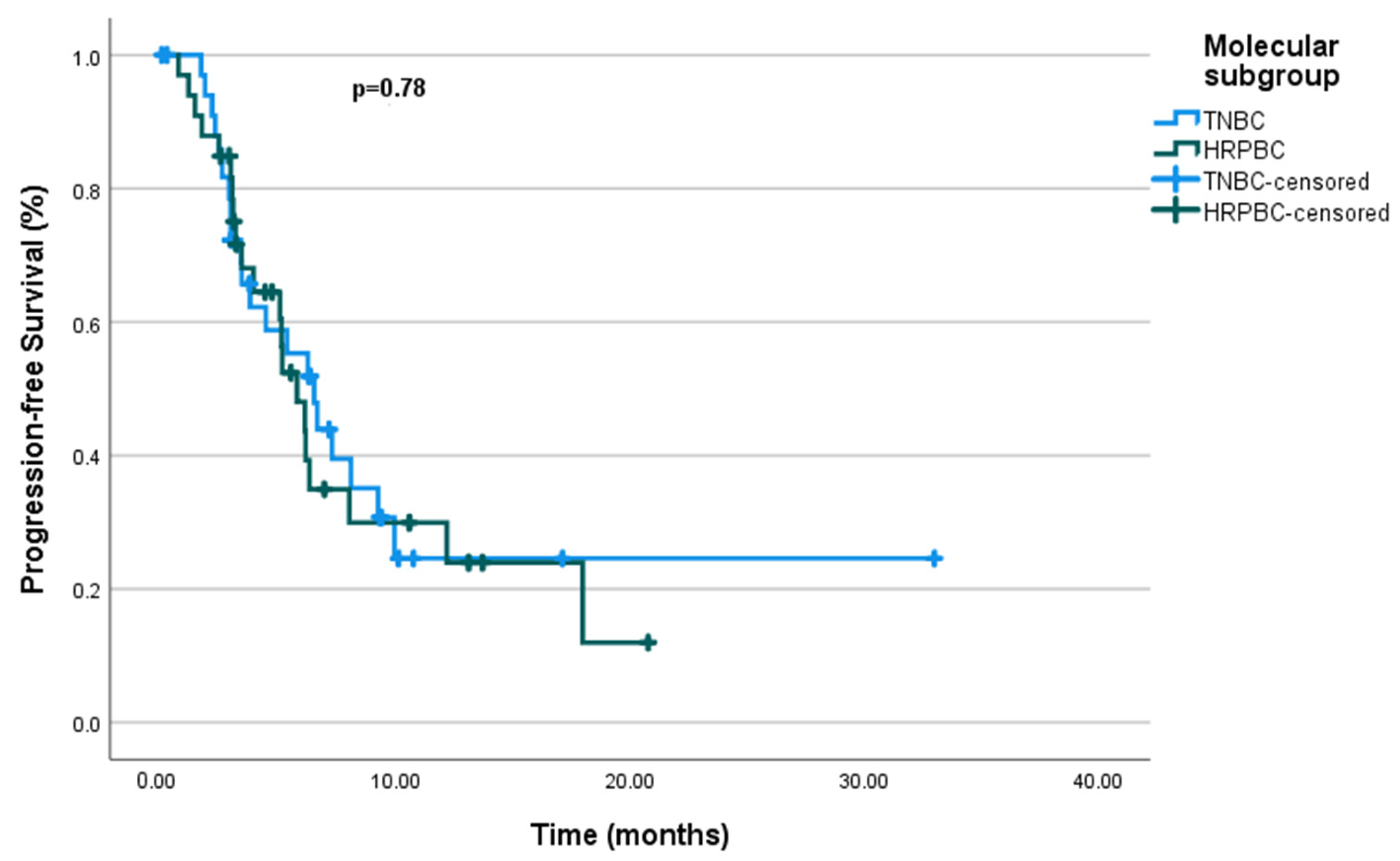Cancers 17 01592 g003