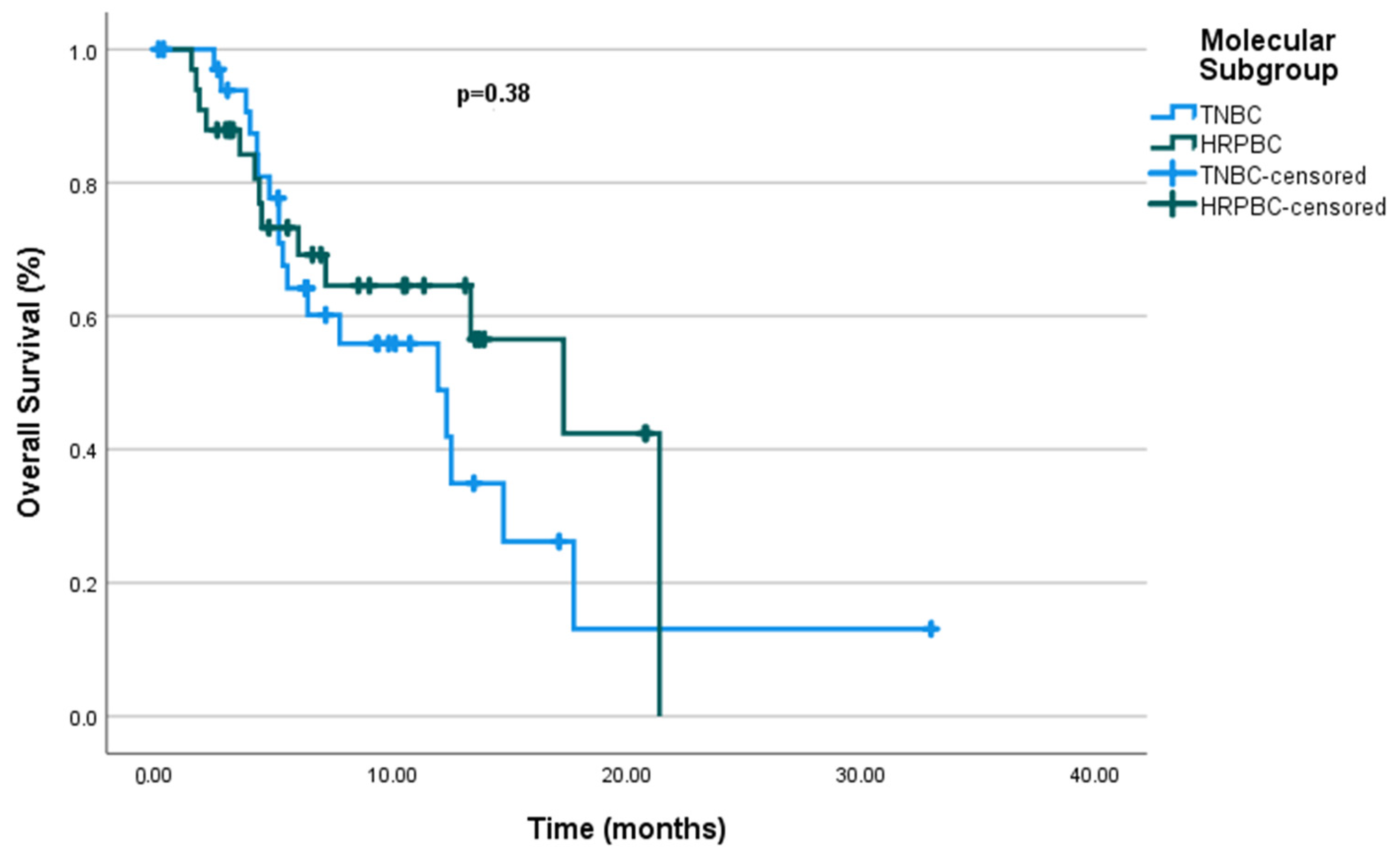 Cancers 17 01592 g004