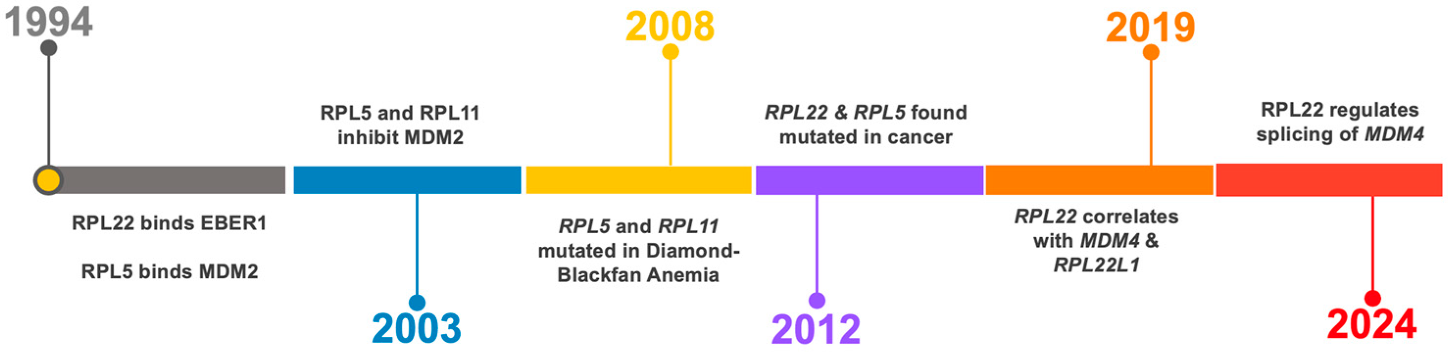 Cancers 17 01597 g002