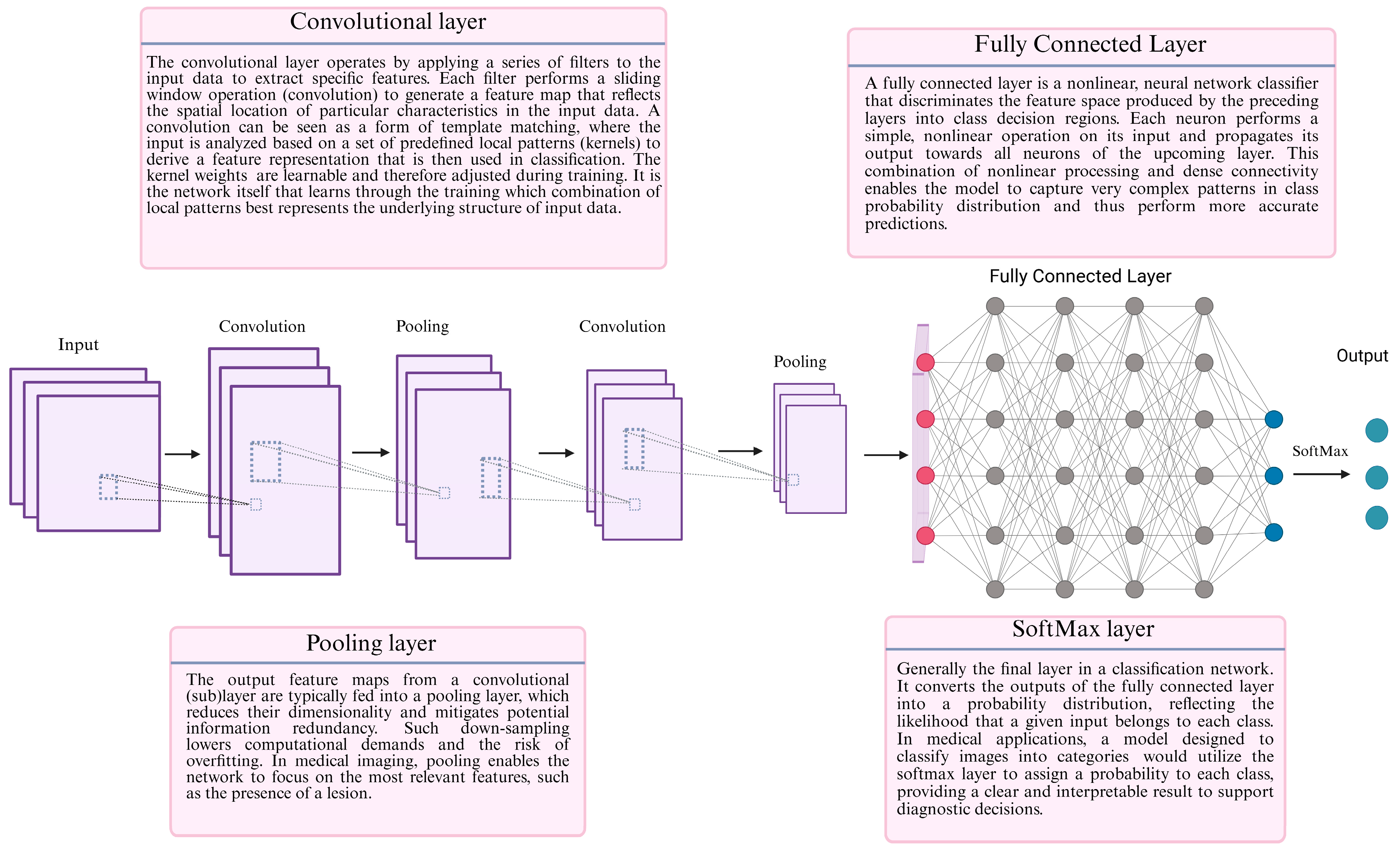 Cancers 17 01604 g002