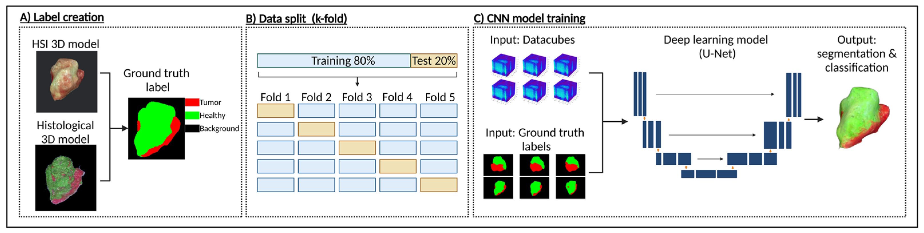Cancers 17 01617 g002