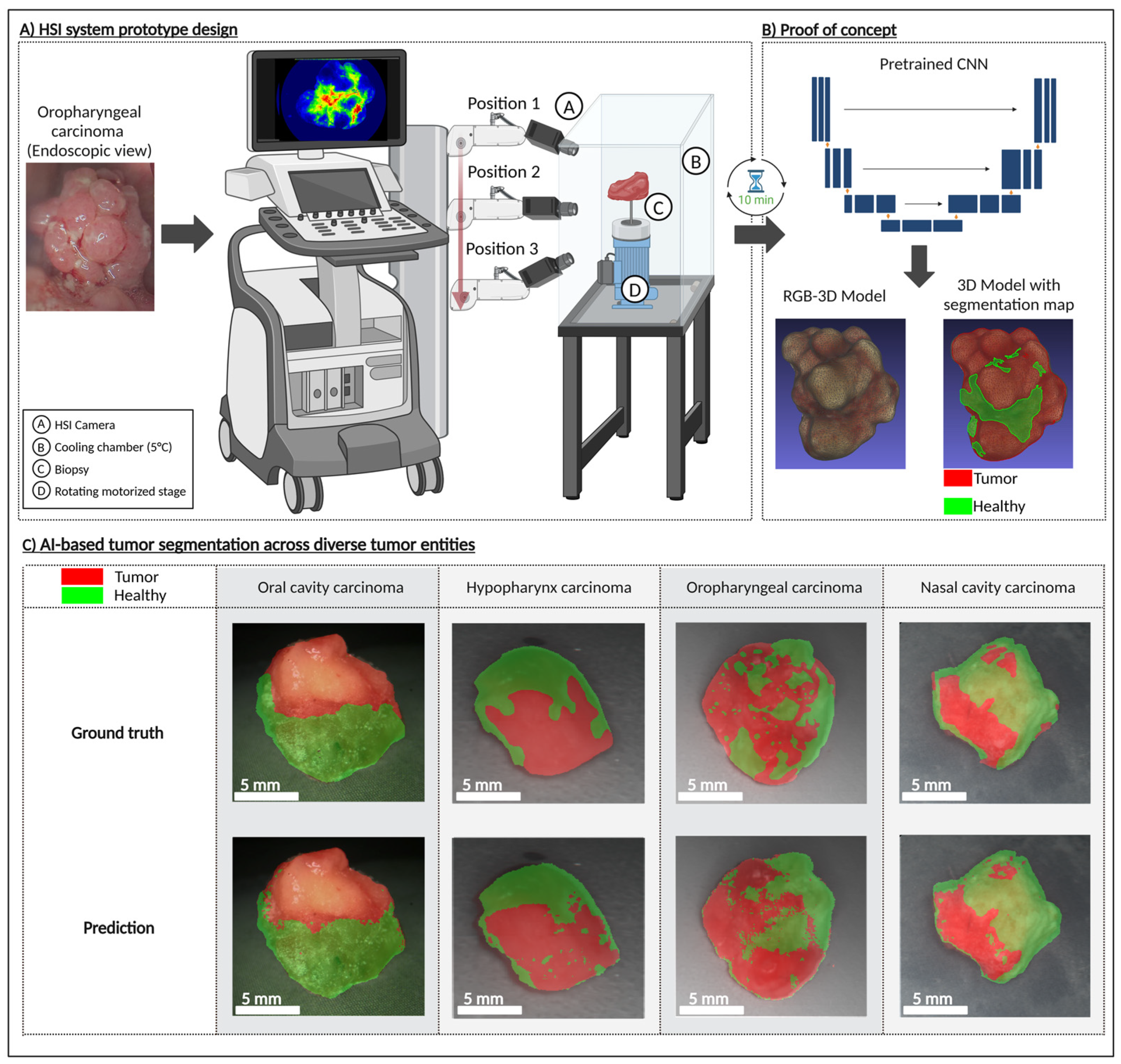 Cancers 17 01617 g003