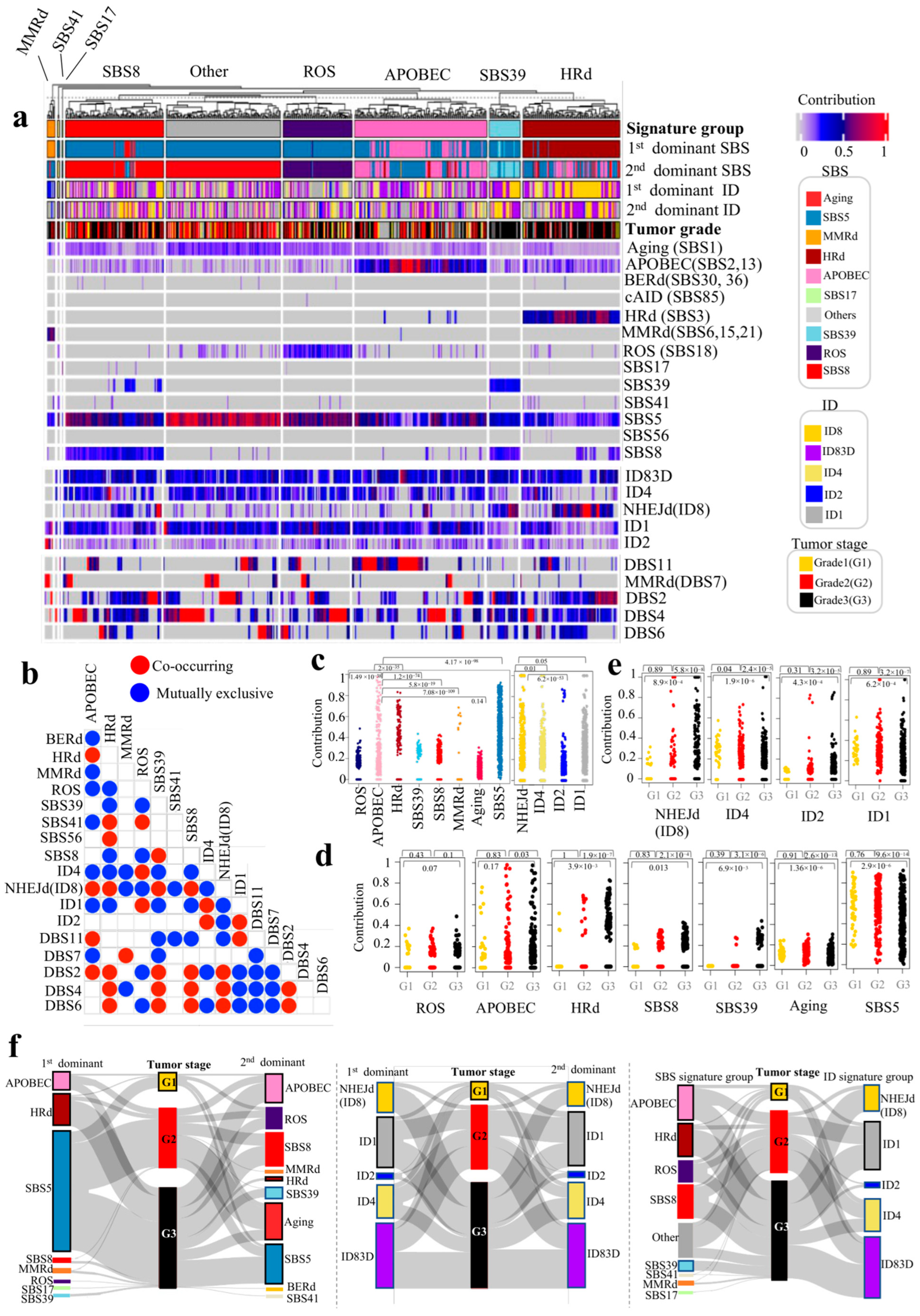 Cancers 17 01627 g001