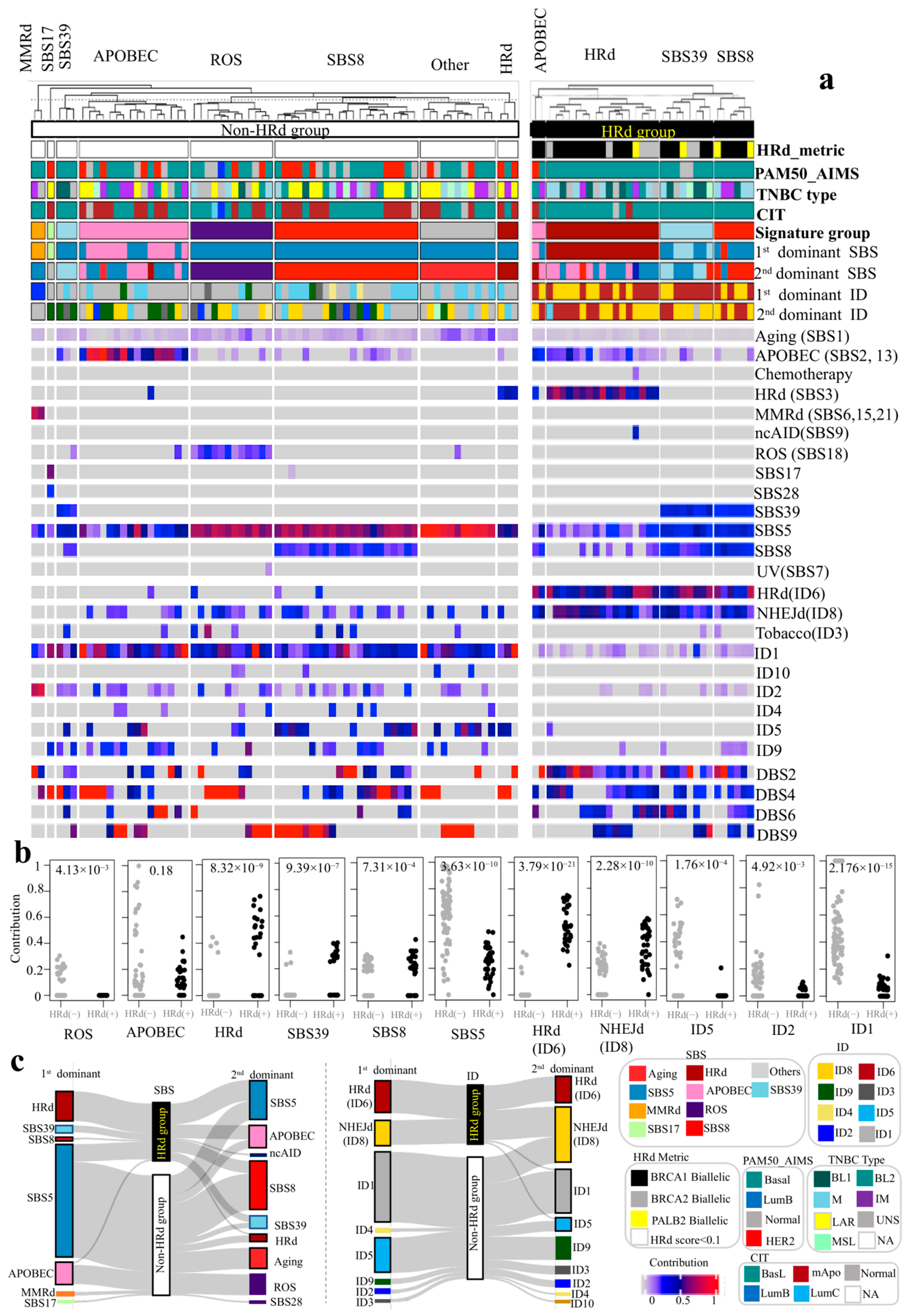 Cancers 17 01627 g004