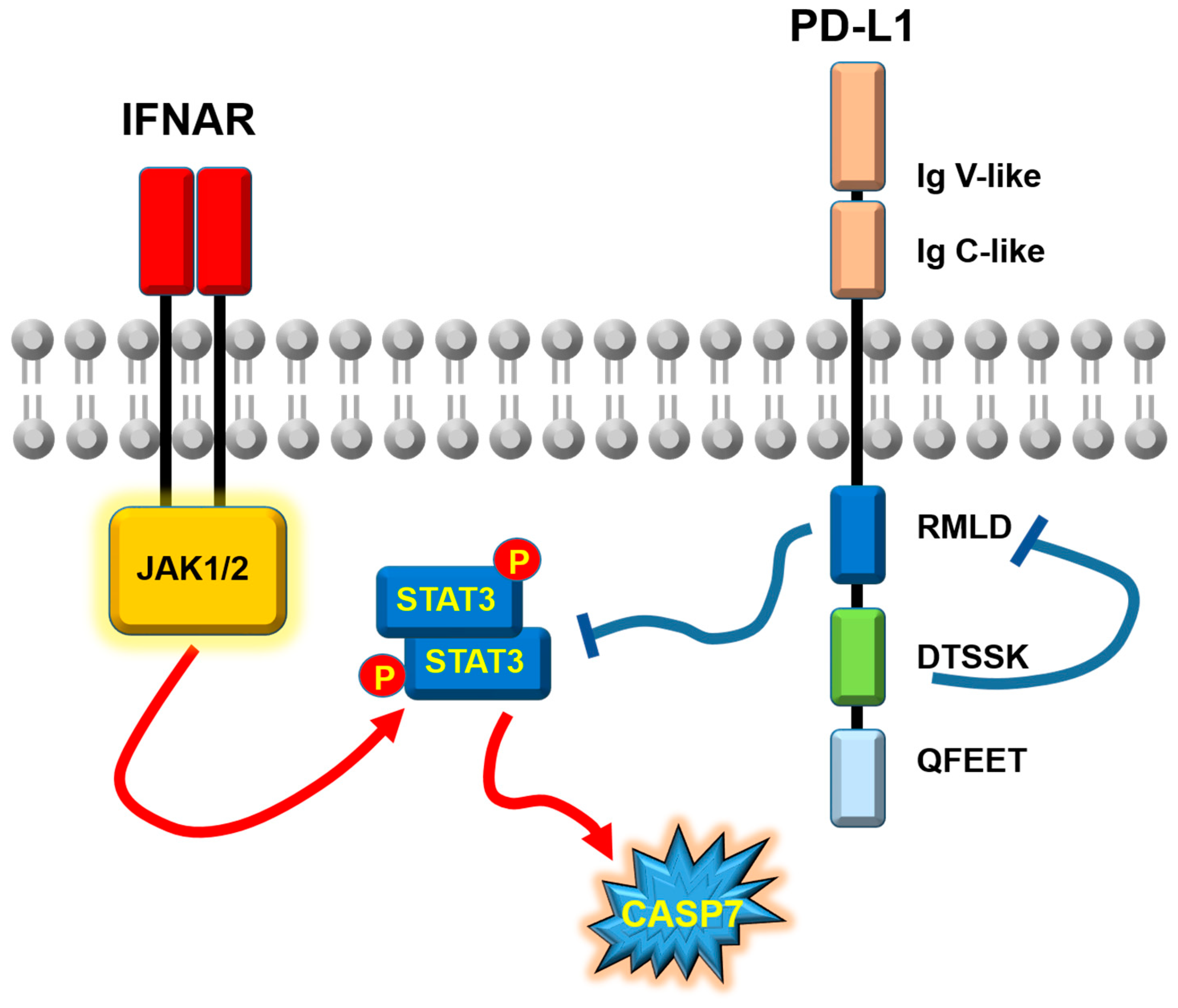 Cancers 17 01635 g003
