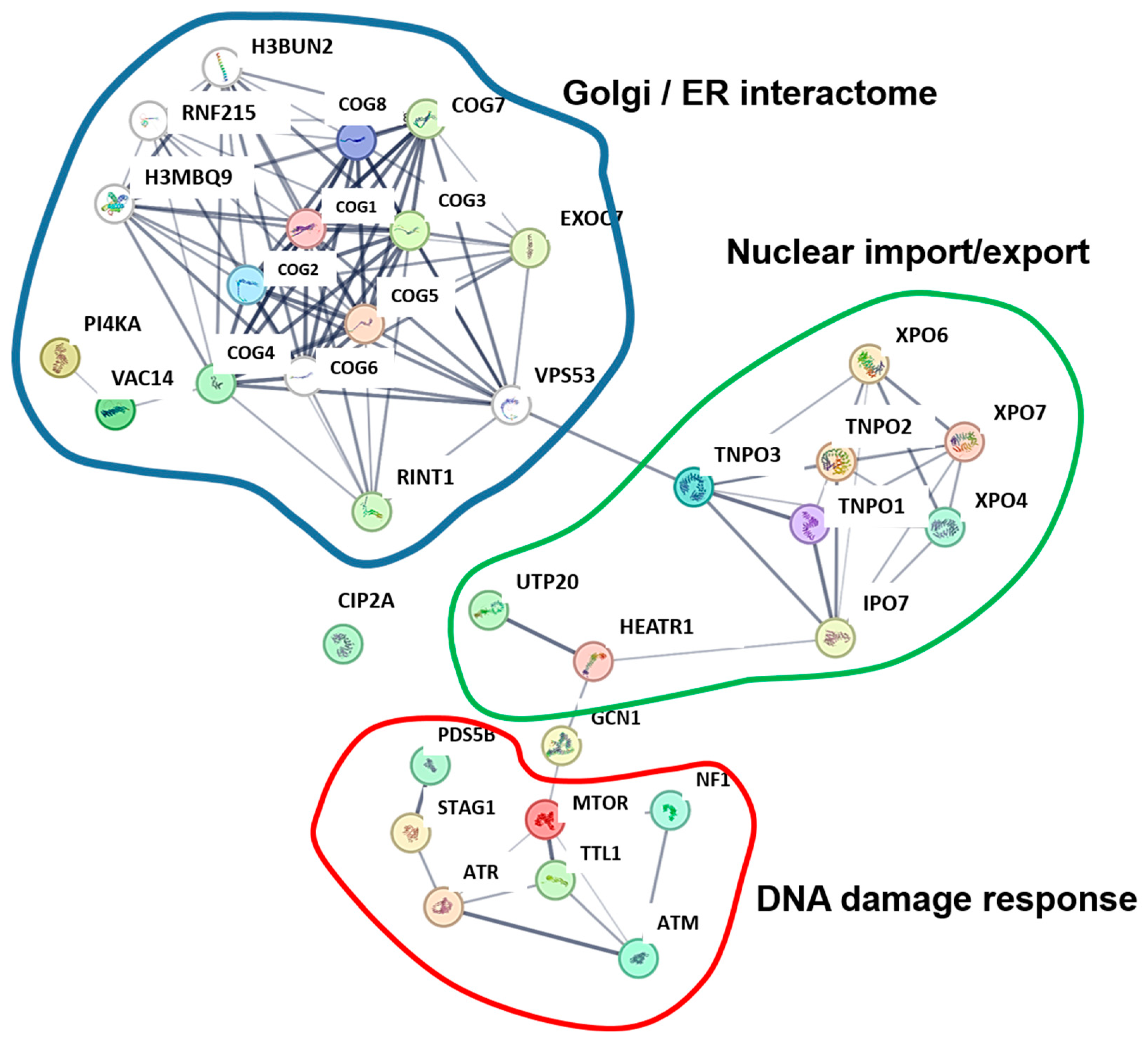 Cancers 17 01635 g004