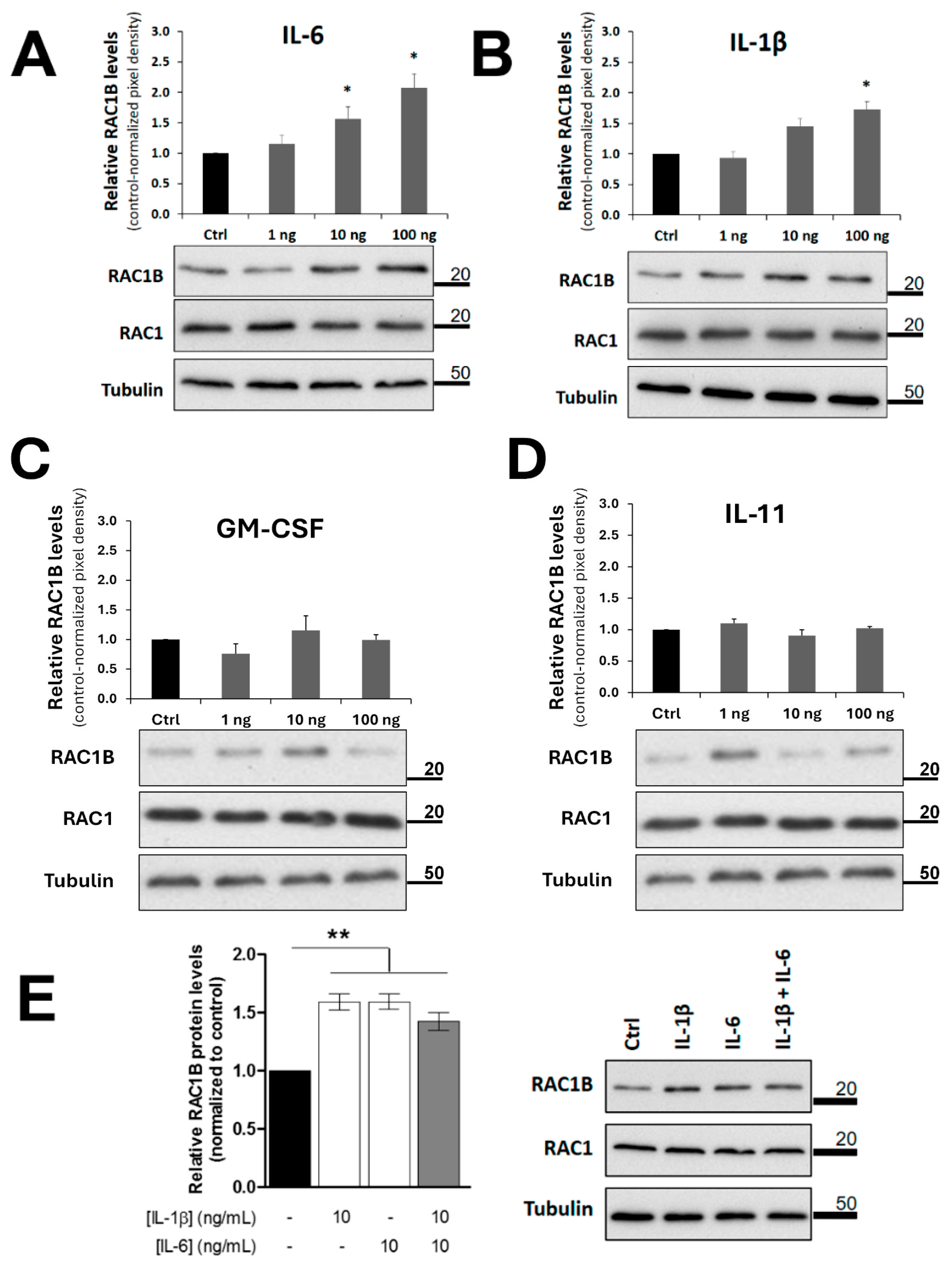 Cancers 17 01642 g005