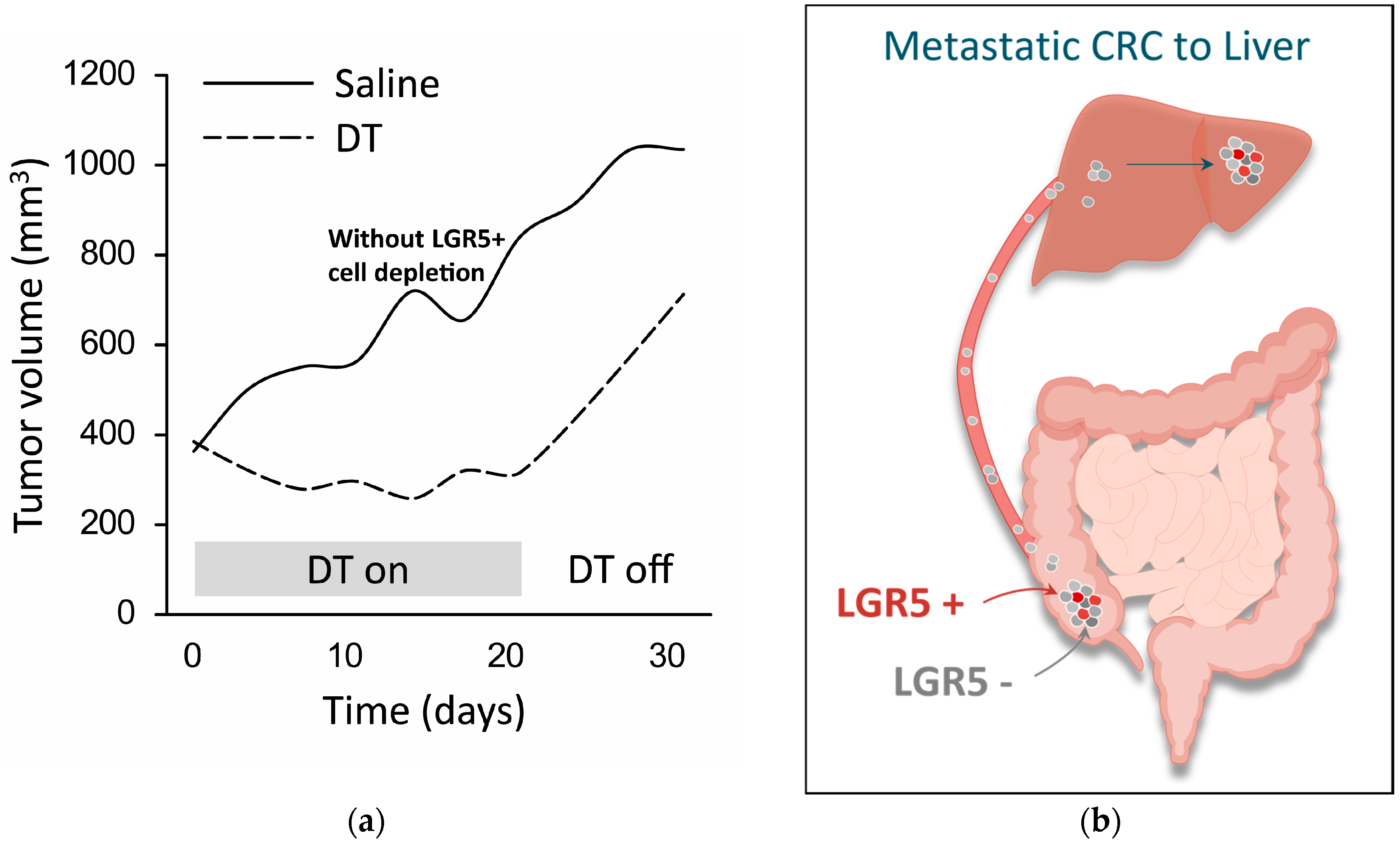 Cancers 17 01665 g004 Cancers 17 01665 g004
