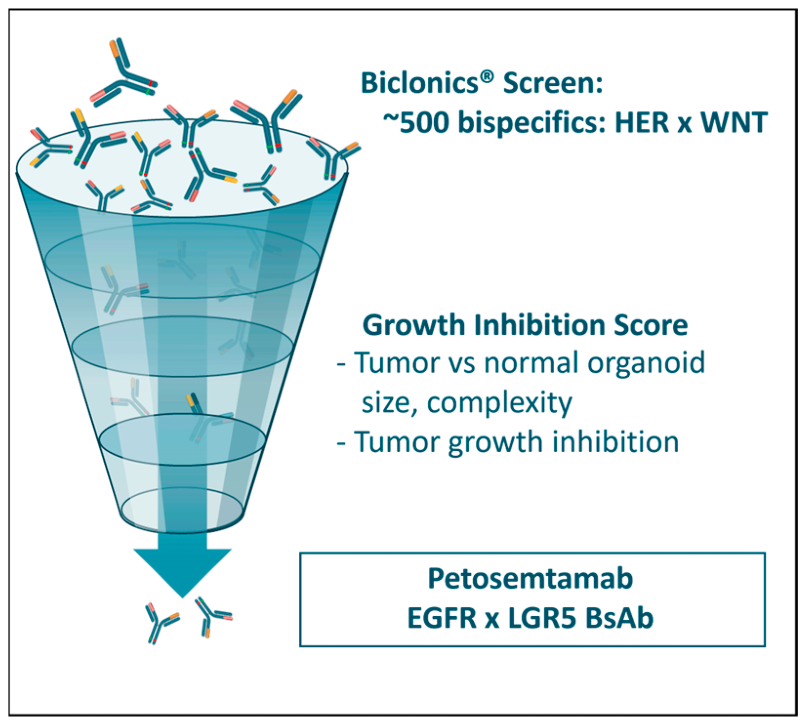 Cancers 17 01665 g005 Cancers 17 01665 g005