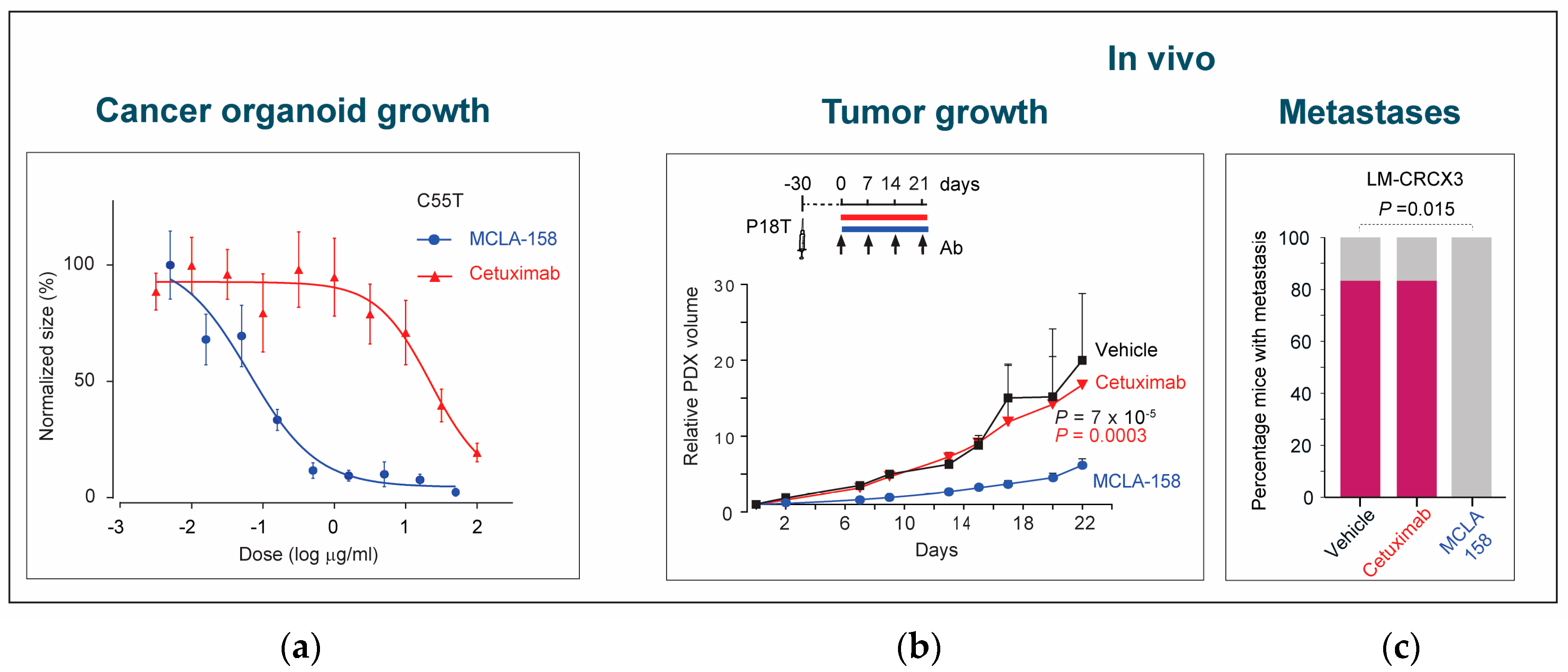 Cancers 17 01665 g007 Cancers 17 01665 g007