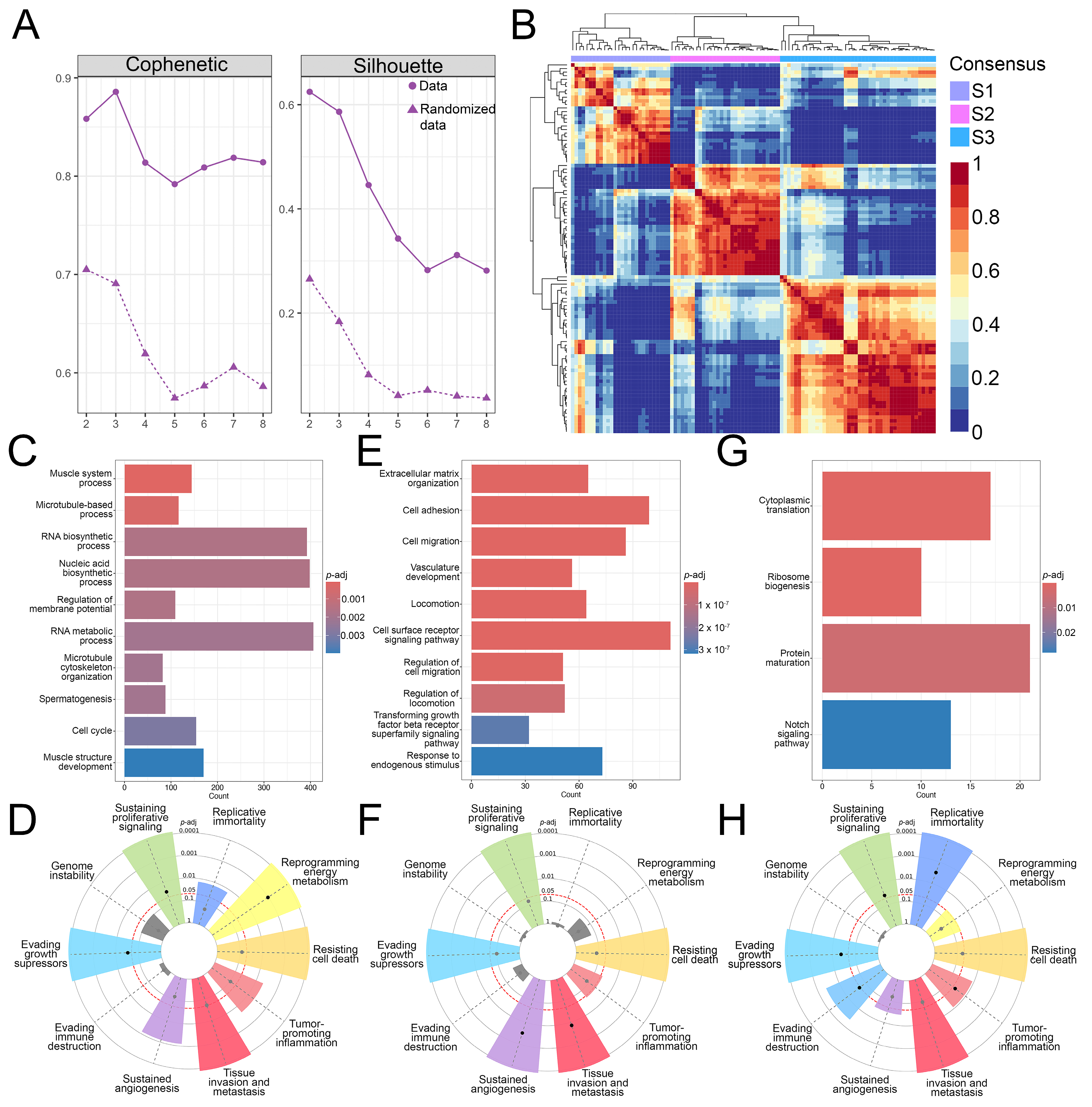 Cancers 17 01677 g001