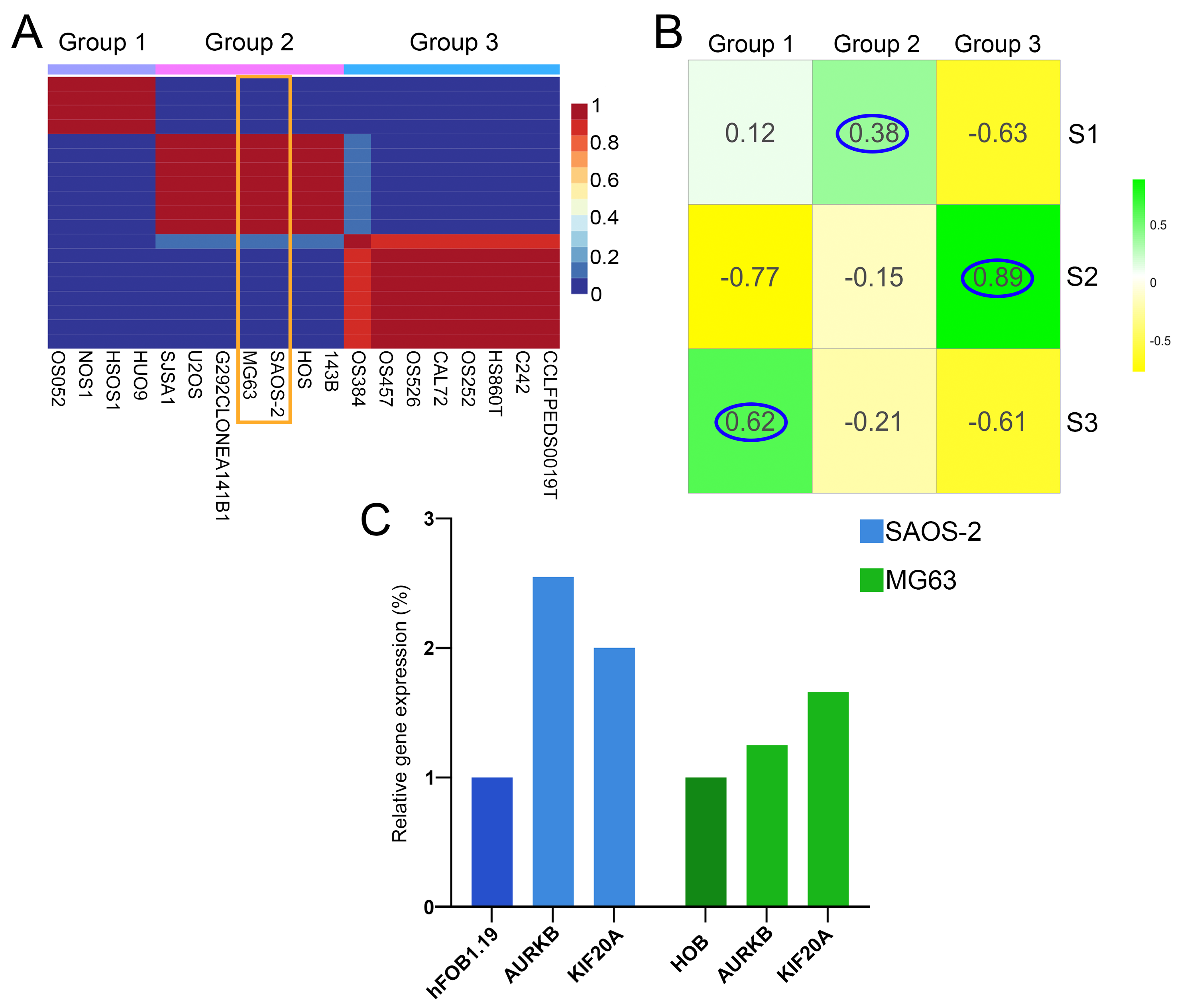 Cancers 17 01677 g006