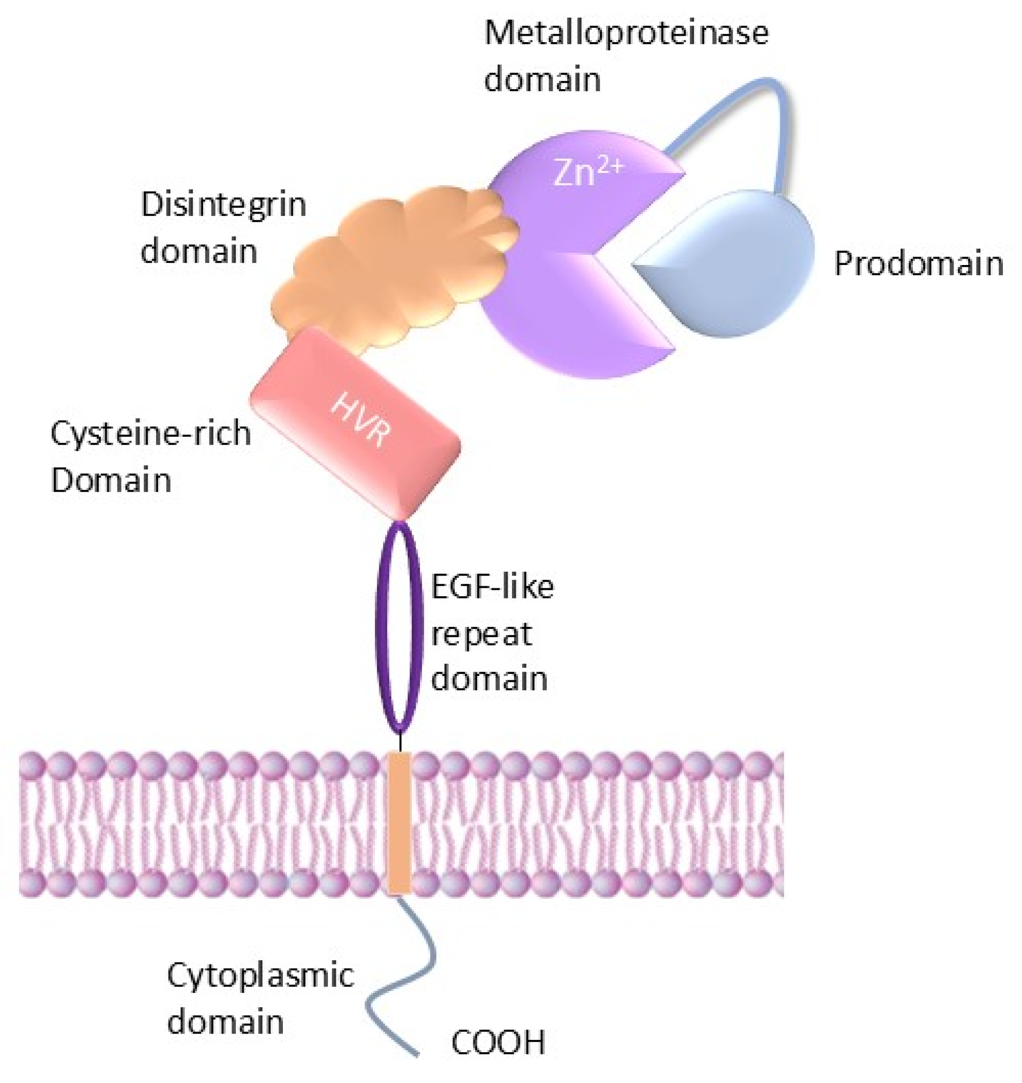 Cancers 17 01703 g001