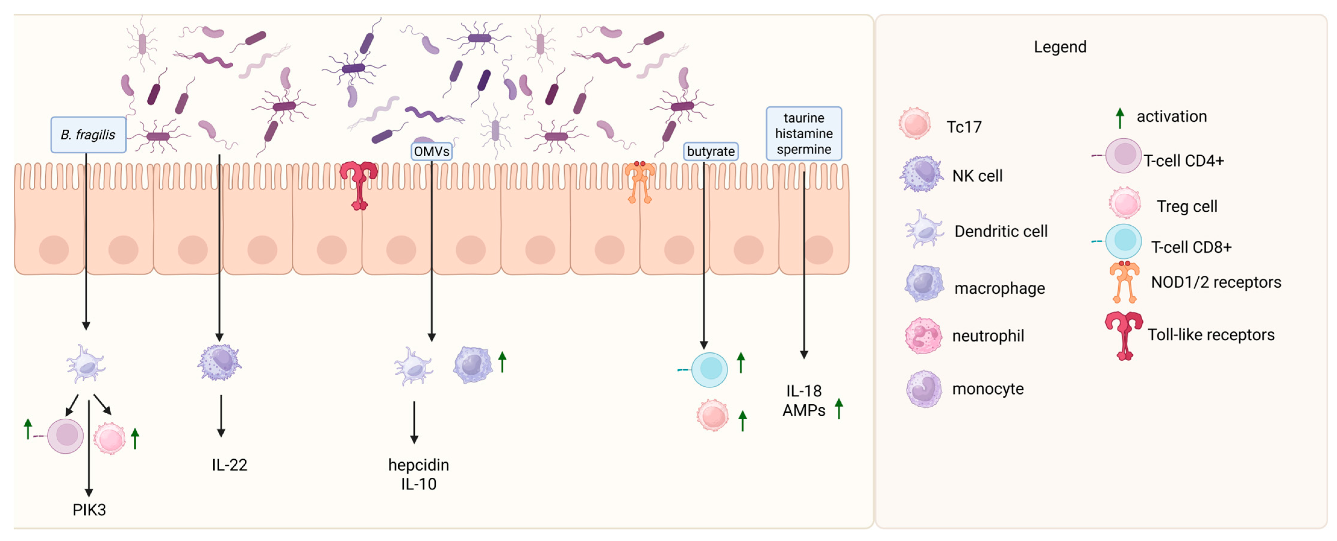 Cancers 17 01709 g001