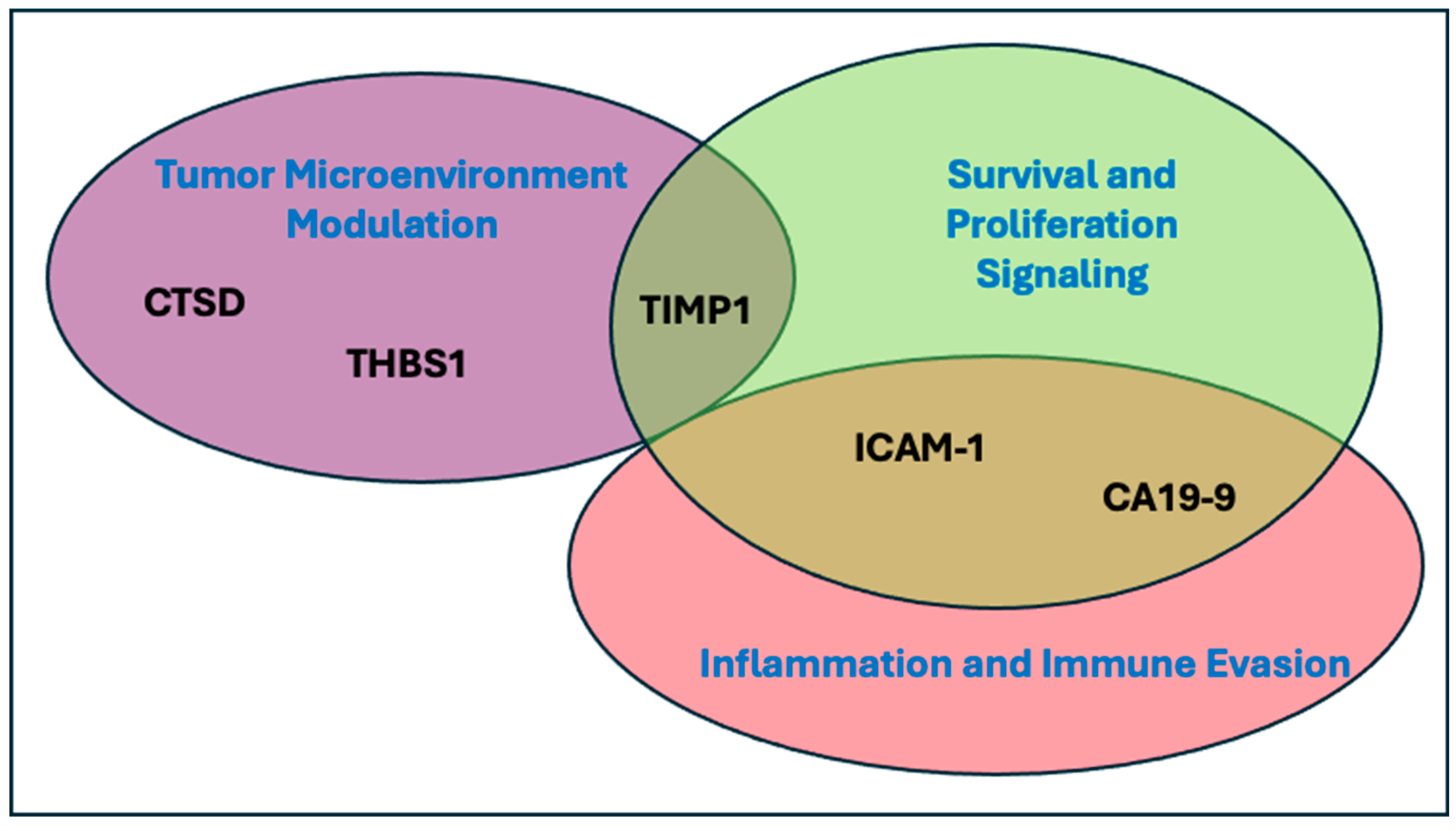 Cancers 17 01866 g004