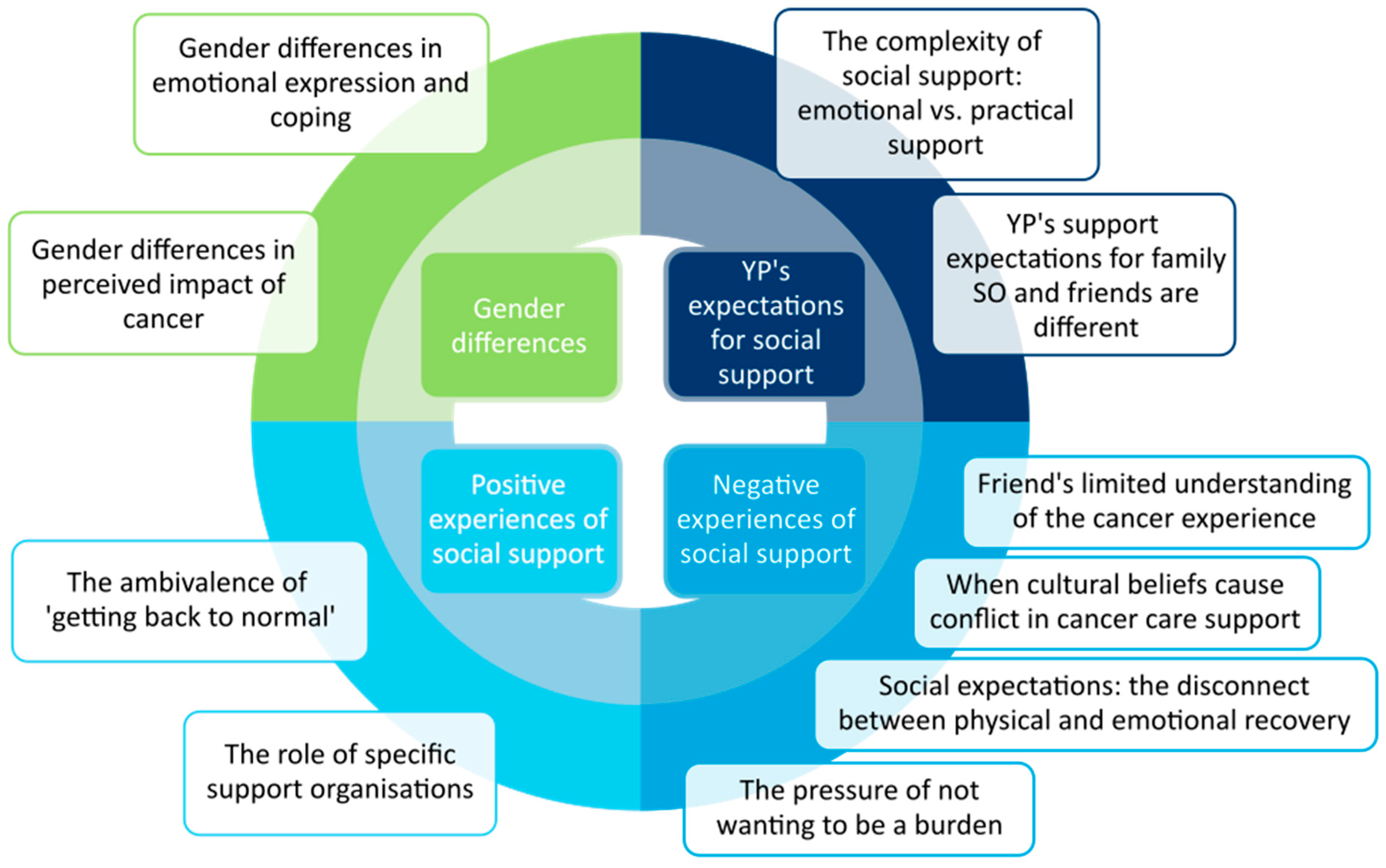 Cancers 17 01918 g001