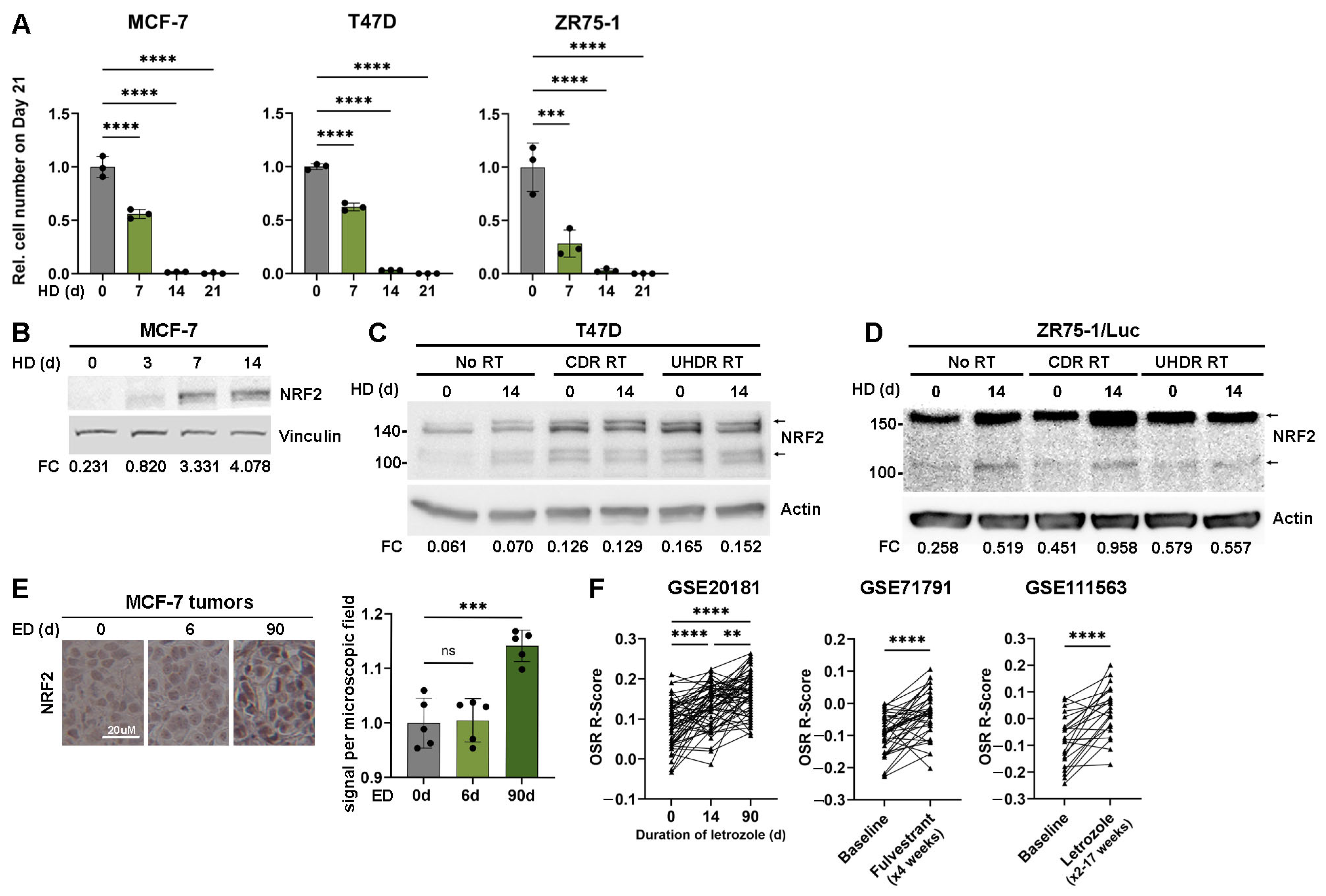 Cancers 17 01921 g001