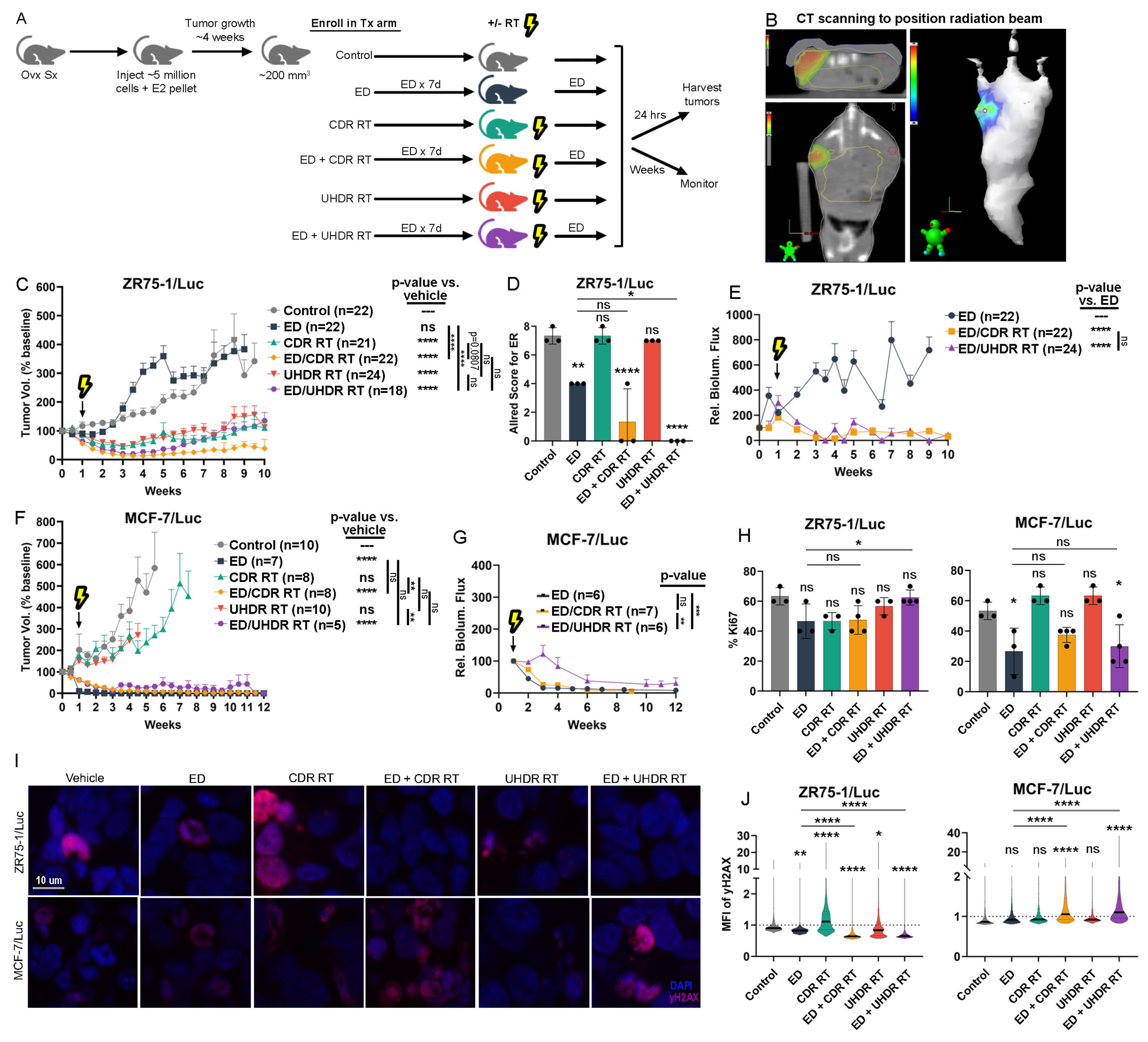 Cancers 17 01921 g005