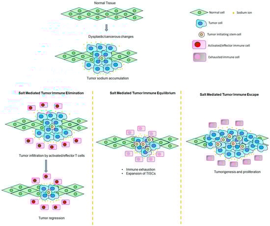 Cancers 17 01924 g003