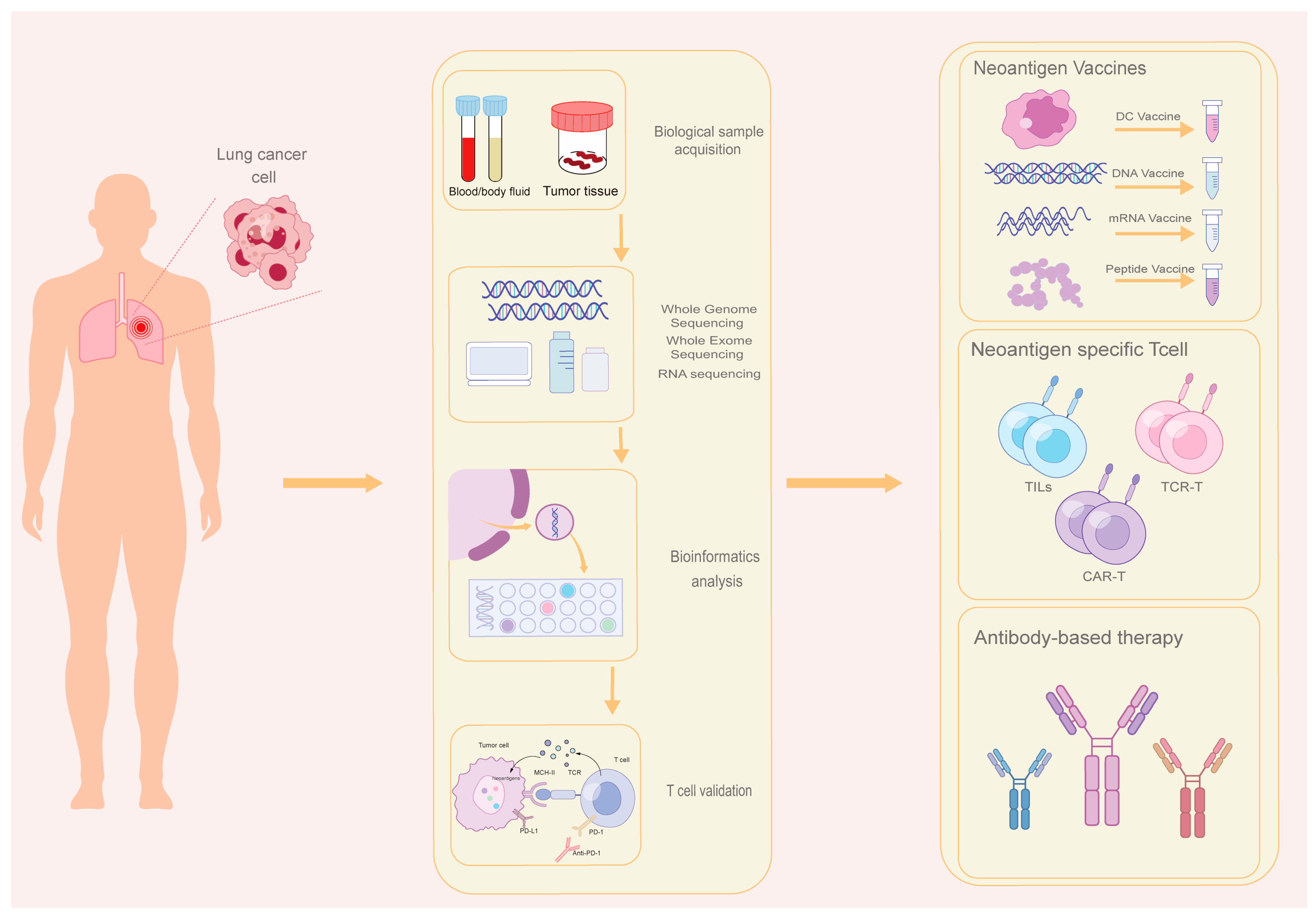 Cancers 17 01953 g001