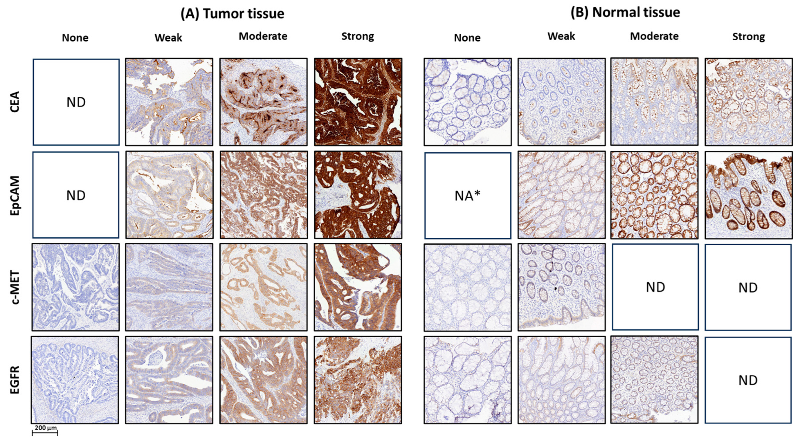 Cancers 17 01958 g001