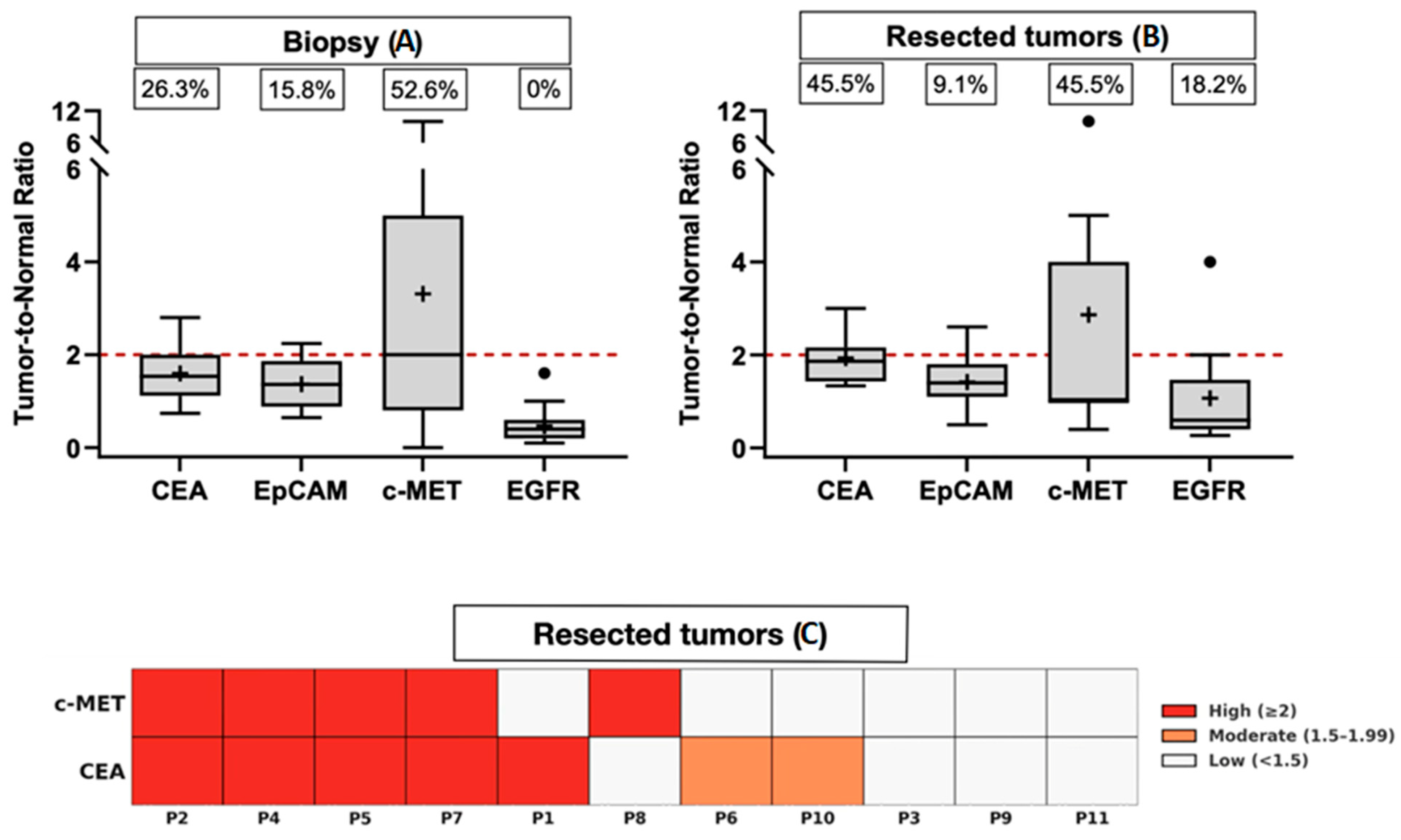 Cancers 17 01958 g003