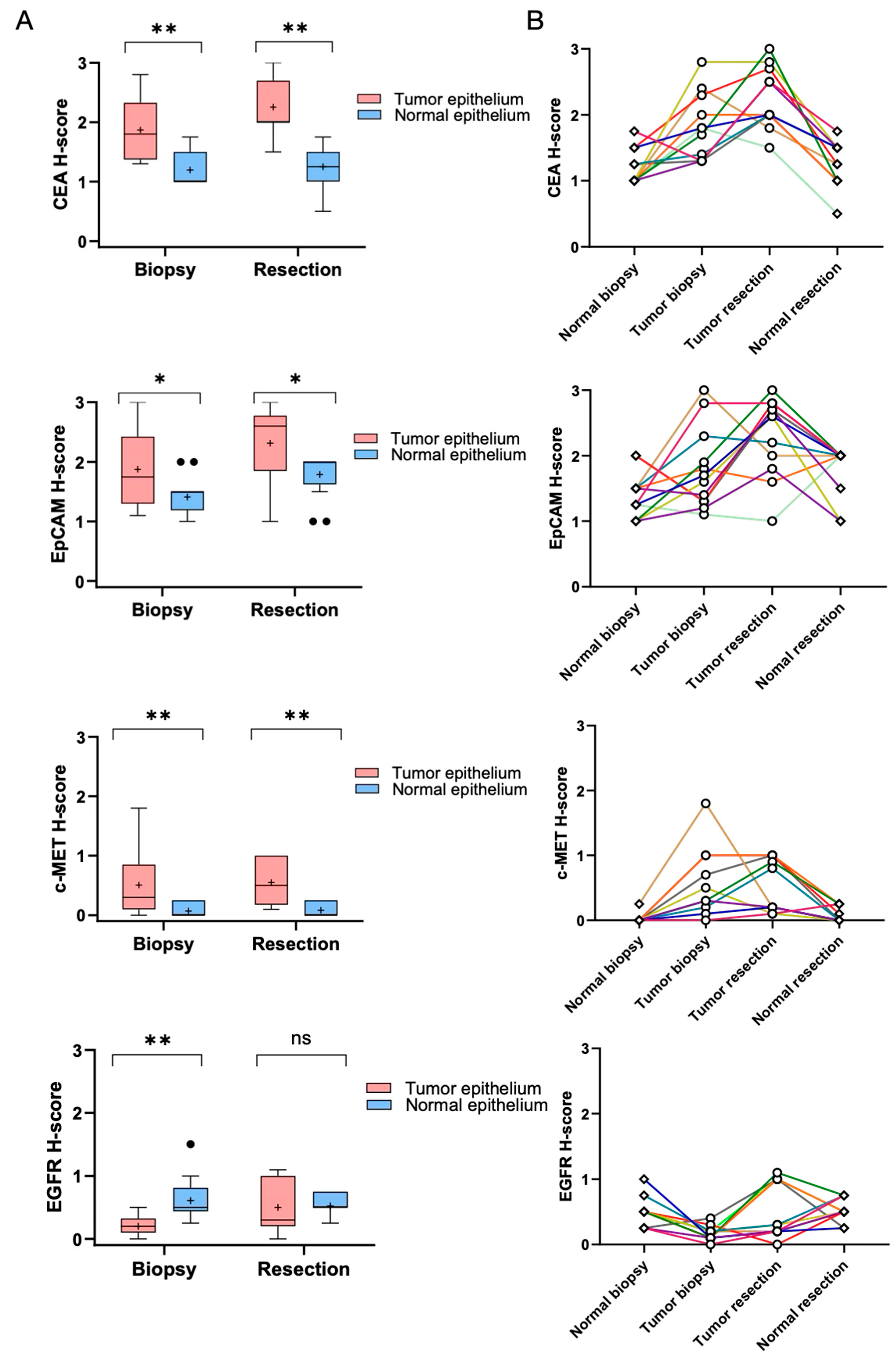 Cancers 17 01958 g004