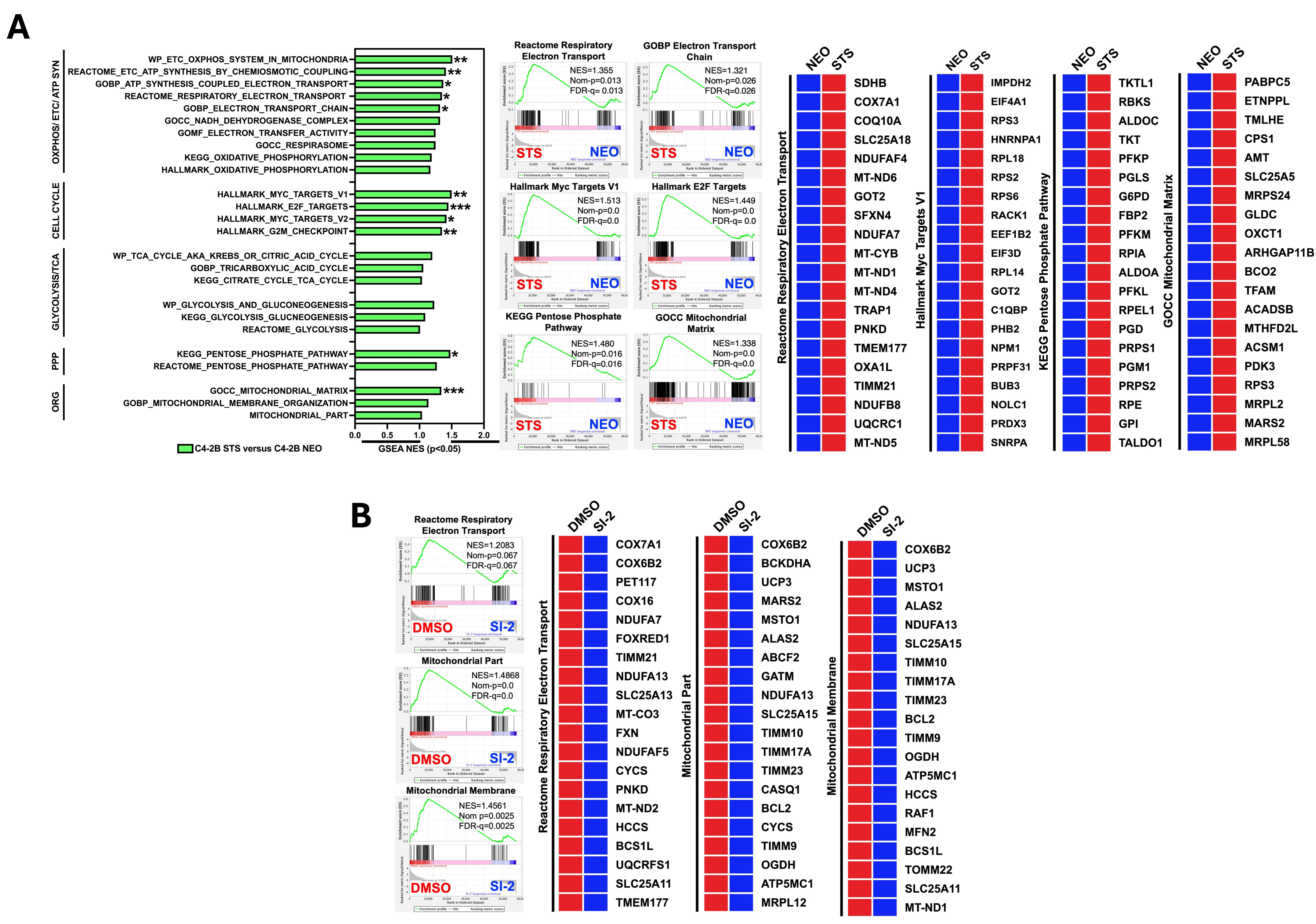 Cancers 17 01959 g001