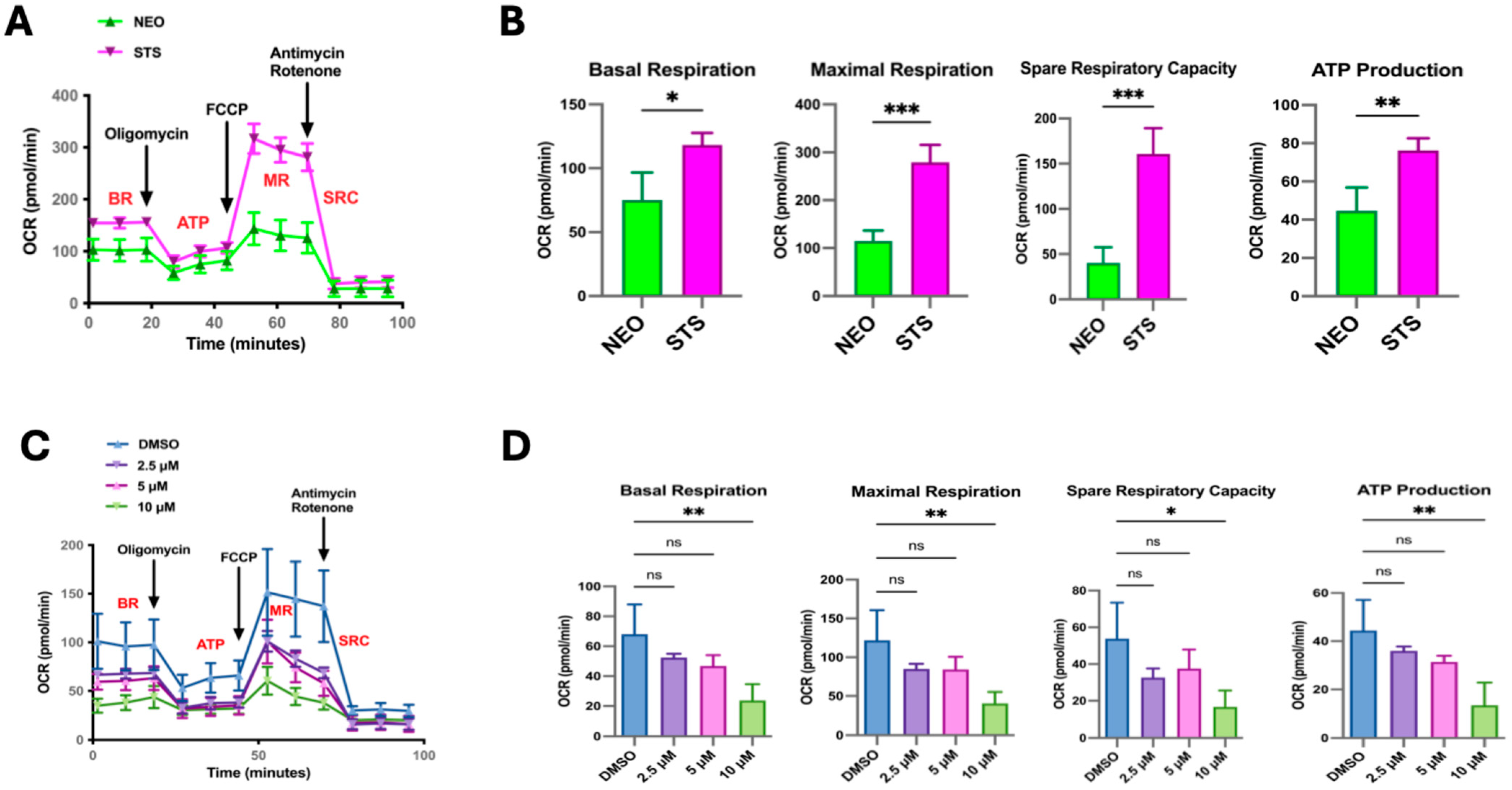 Cancers 17 01959 g002
