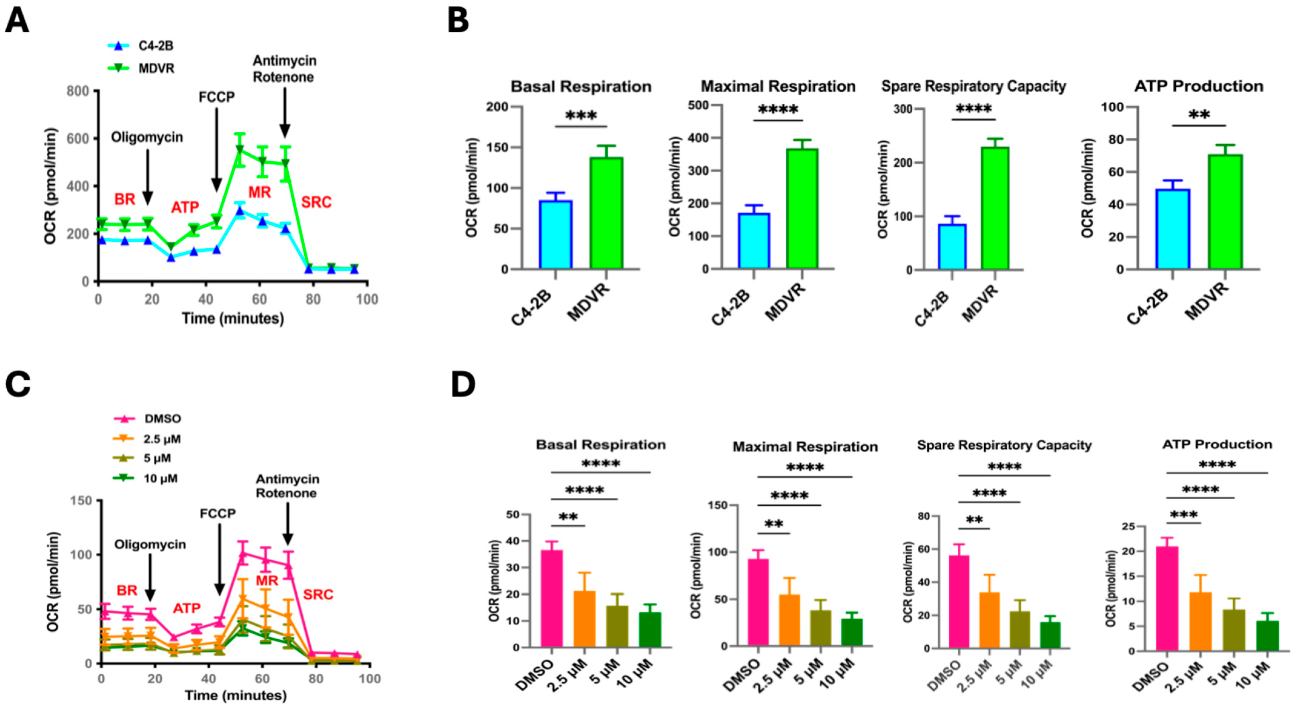 Cancers 17 01959 g004