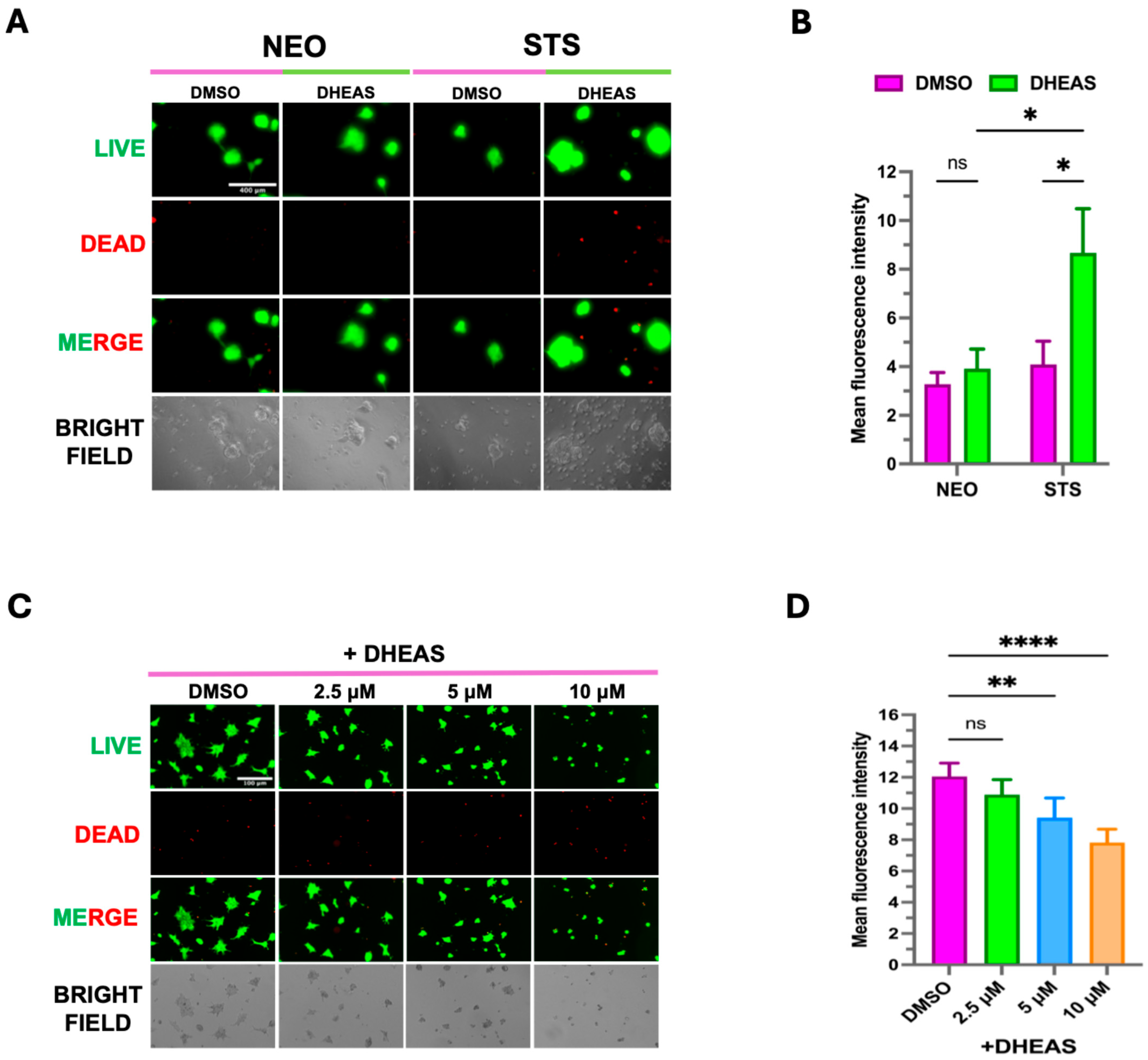 Cancers 17 01959 g006