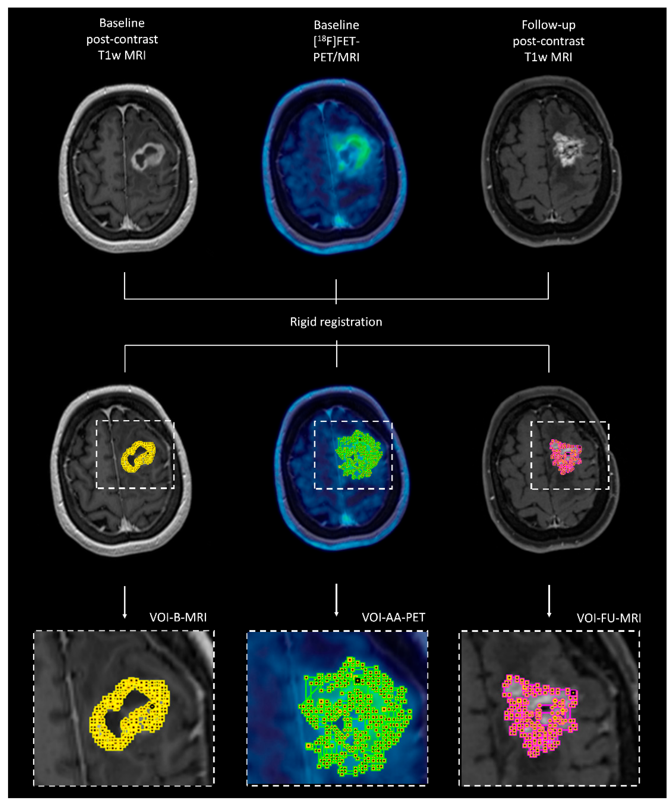 Cancers 17 01986 g001